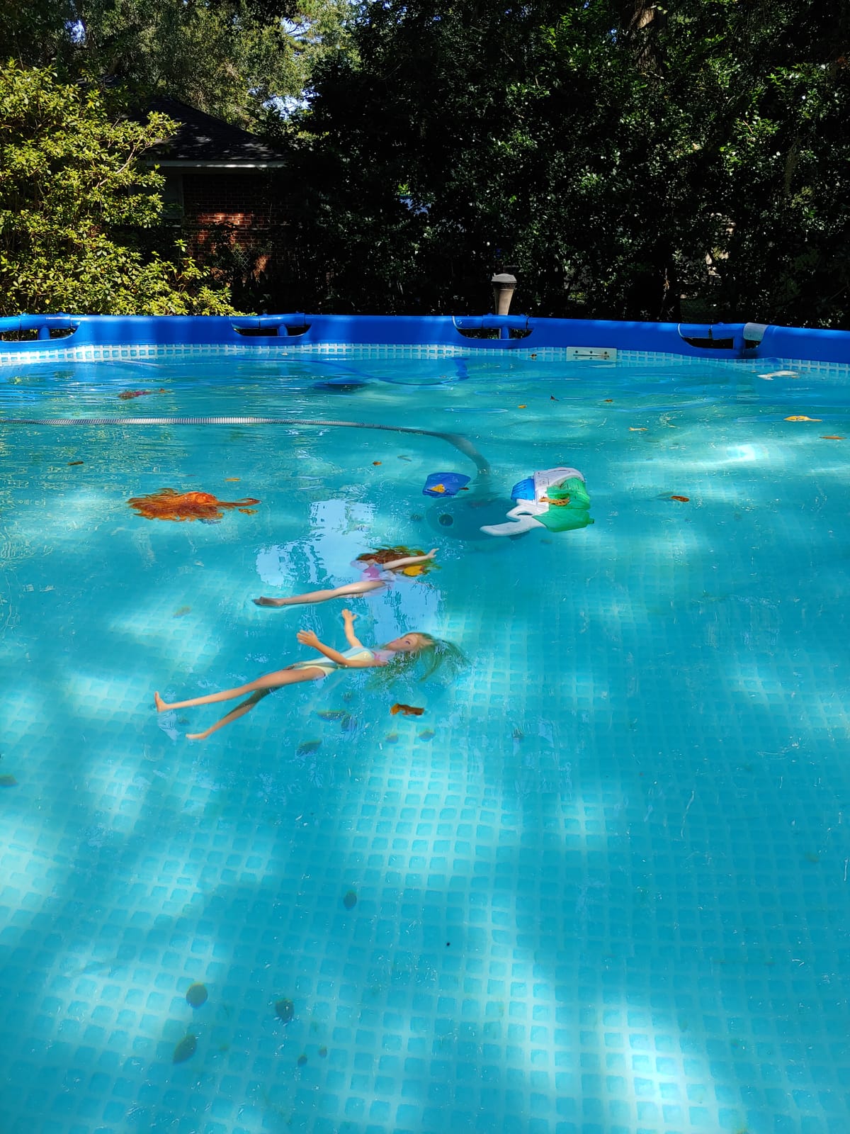 Hayward W3900 Wanda the Whale Above-Ground Suction Pool Cleaner for Any Size Pool, Automatic Pool Vacuum Cleaner customer photo 1