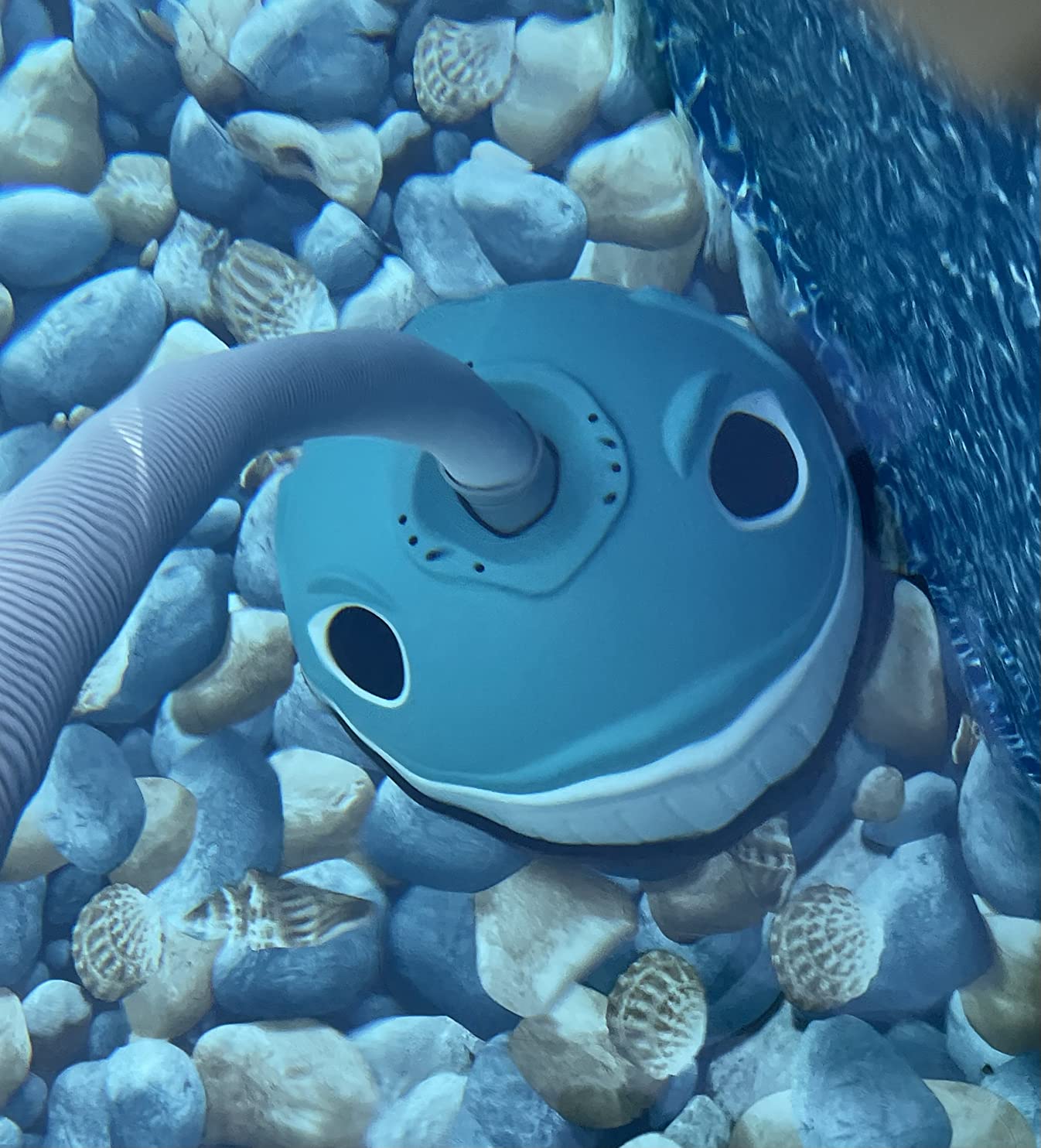 Hayward W3900 Wanda the Whale Above-Ground Suction Pool Cleaner for Any Size Pool, Automatic Pool Vacuum Cleaner customer photo 2