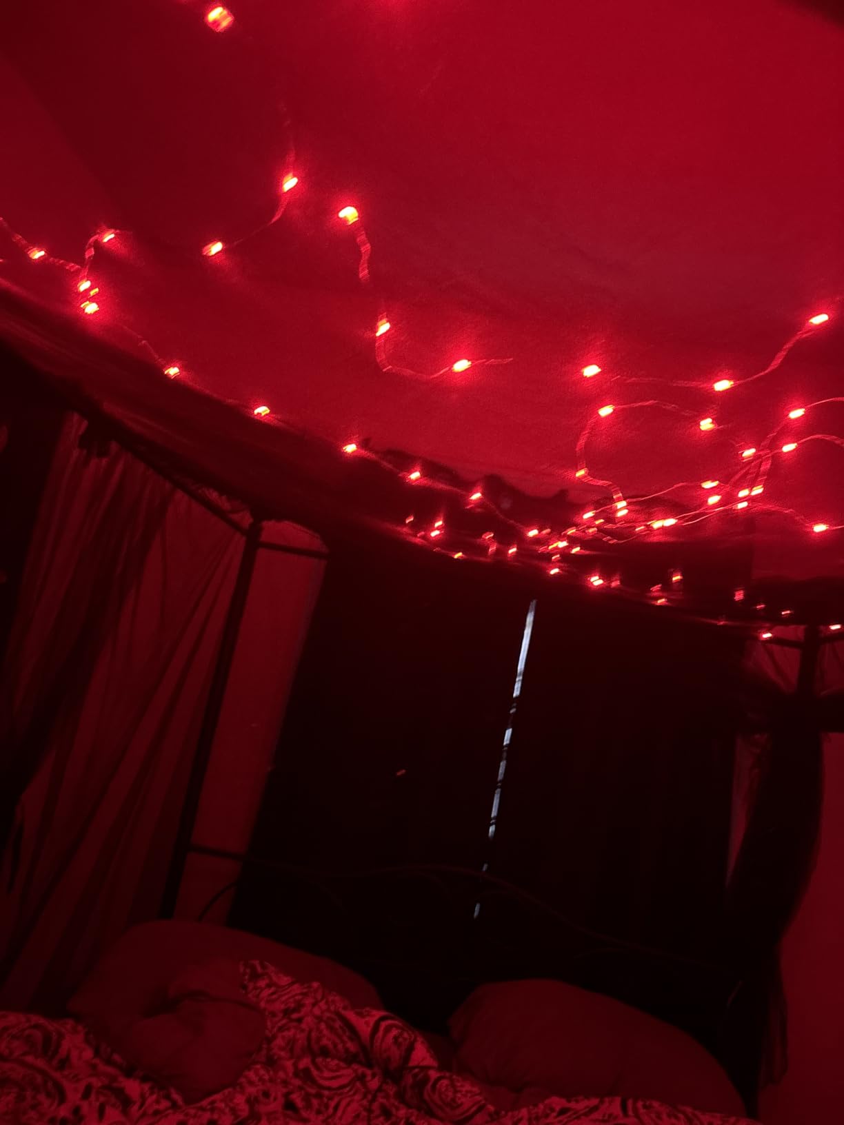Minetom 33ft Plug in Color Changing Fairy String Lights with Remote | 33ft Flexible Silver Wire, 100 LED Bulbs, 16 Colors, Power Adapter Included, Lovely for Bedroom Indoor Christmas Decoration customer photo 2