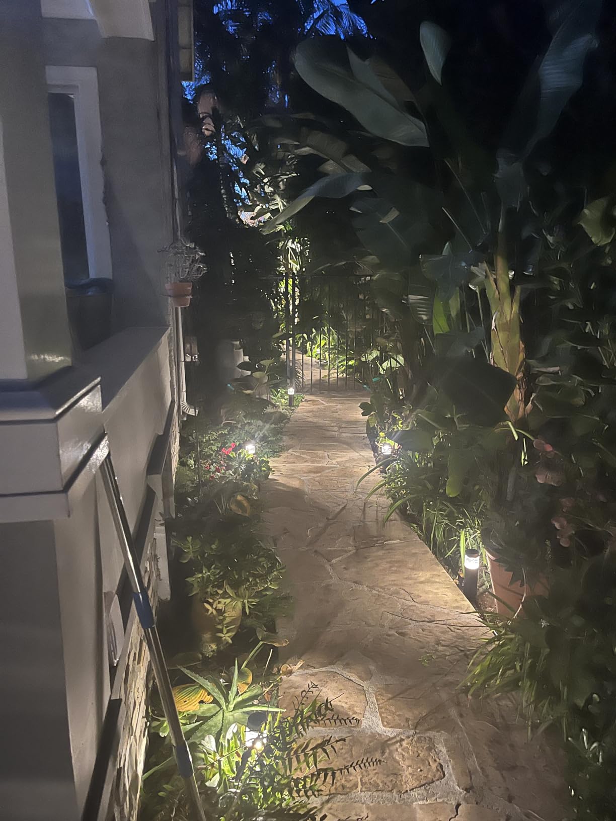 hykolity Low Voltage Landscape Lights, LED Outdoor Bollard Pathway Lights, Aluminum Construction, Waterproof Round Landscape Path Lights, 3W 120LM 12V-15V, Wired Walkway Light for Yard Lawn, 6 Pack customer photo 2