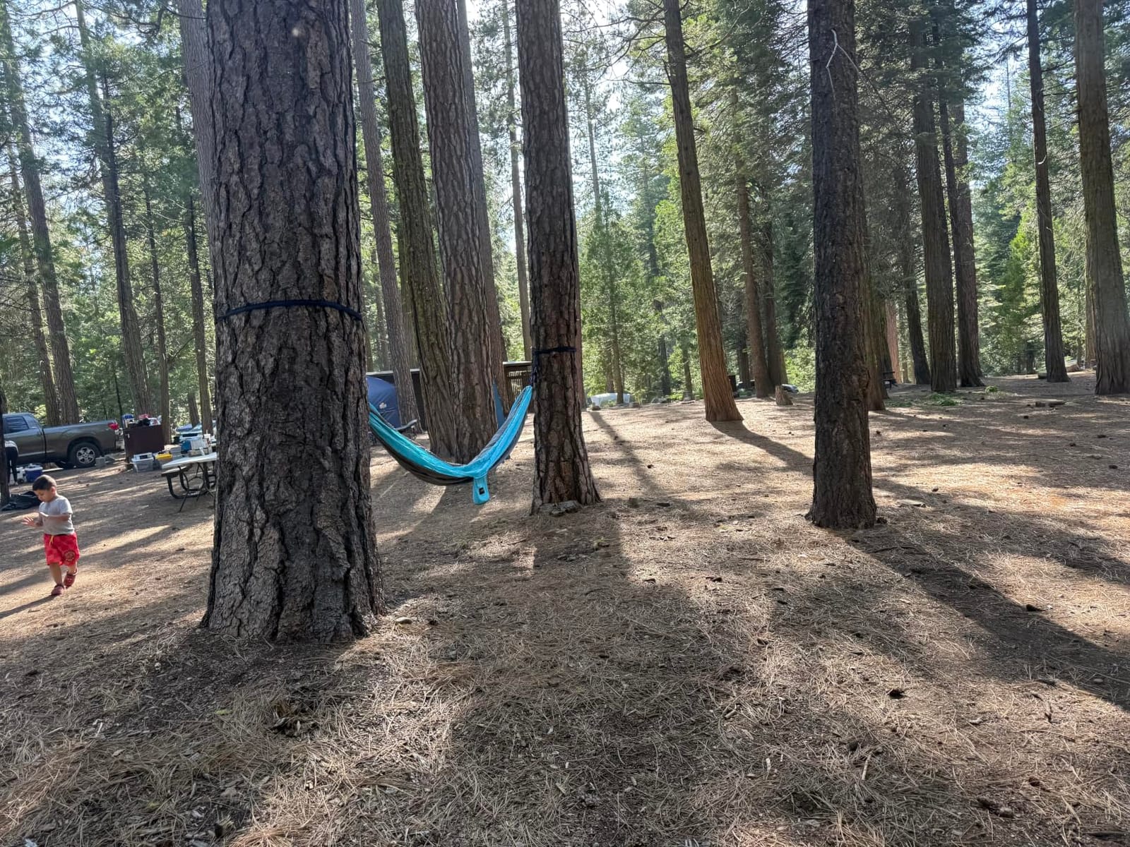 Kootek Camping Hammock 400lbs Capacity Outdoor Camping Essentials, Single customer photo 2