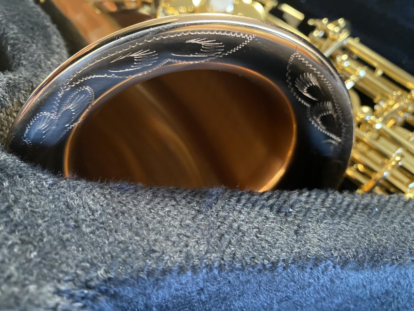 EASTROCK E Flat Alto Saxophone Blue/Golden Sax for Beginners and Students | Alto Sax Kit-Carrying Case, Mouthpiece, Reeds, Cushion Pads, Cleaning Kit, Gloves, Neck Strap for Practice & Performance customer photo 1