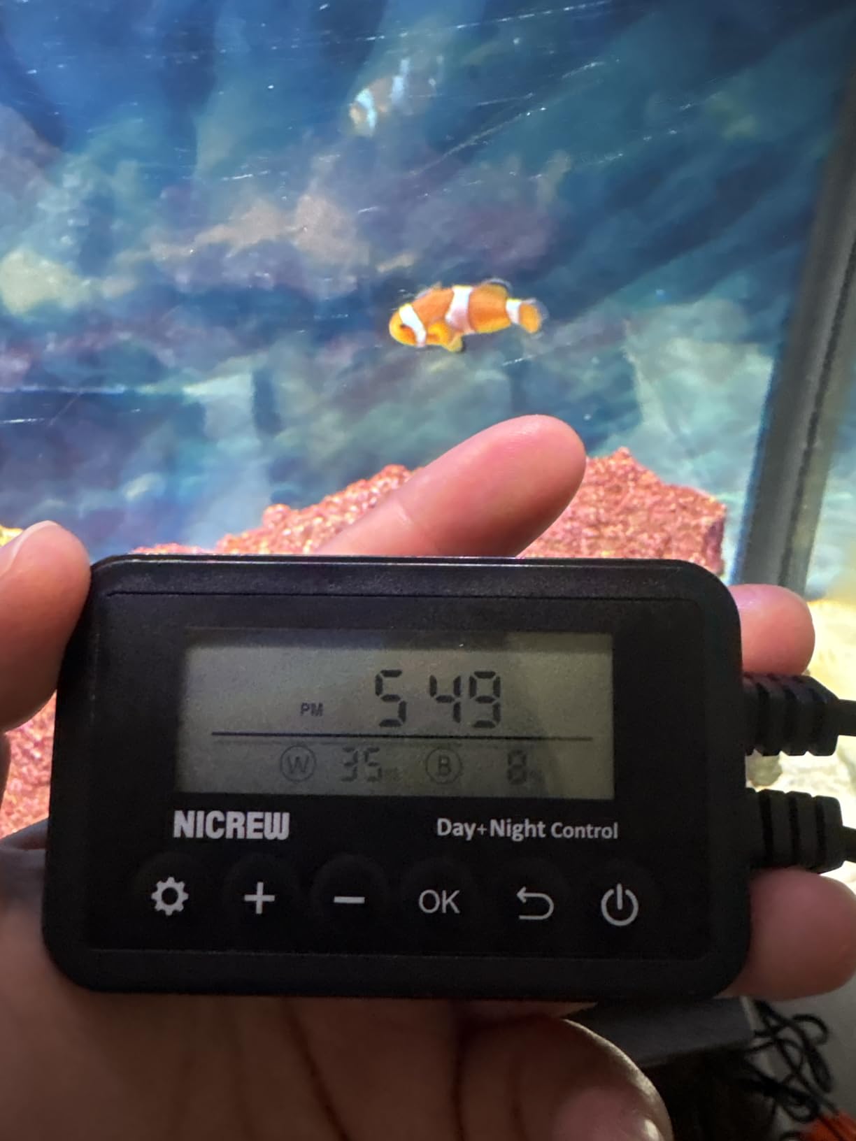 NICREW 20W Saltwater Aquarium Light, Marine LED Reef Light for Corals, Programmable Timer Controller, 18 to 24-Inch customer photo 2