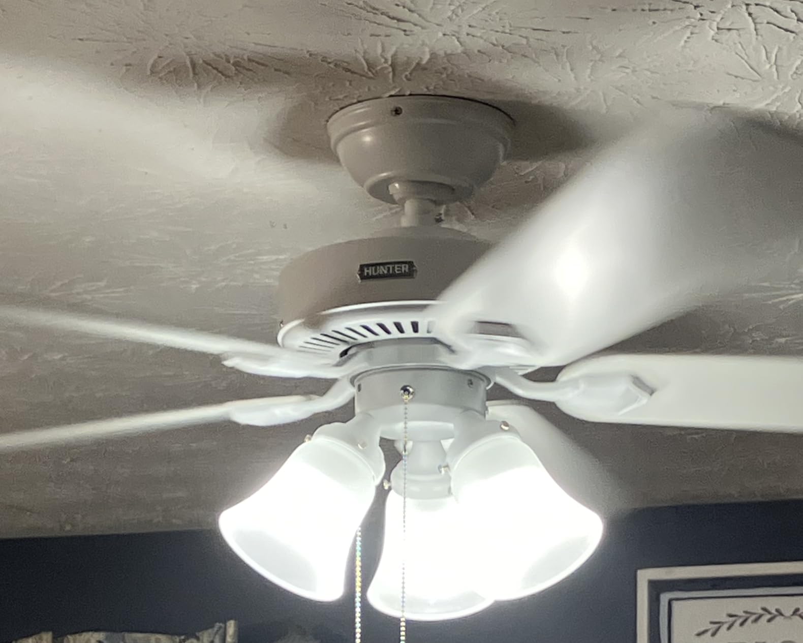 Hunter Swanson, Indoor, Ceiling Fan, with LED Lights, 52 inch, Fresh White | Standard Mount, Pull Chain, 5 Blades, For Bedroom, Living Room, Kitchen, 50895 customer photo 1