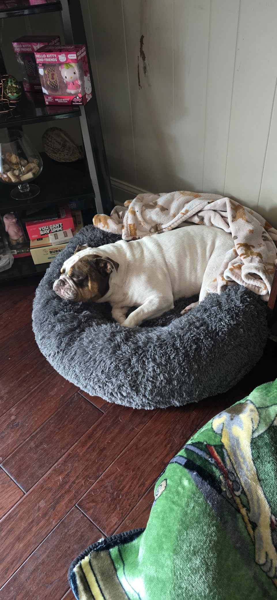 Bedsure Calming Dog Bed Medium Size Dog Donut Washable Pet Bed,30ins Camel customer photo 1