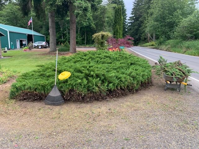MZK 22'' Cordless Hedge Trimmer, 20V Bush Trimmer, Handheld Hedge Cutter, Grass Shrub Trimmer, Lightweight & Compact Trimmer(2 * 4.0Ah Battery & Charger Included) customer photo 2