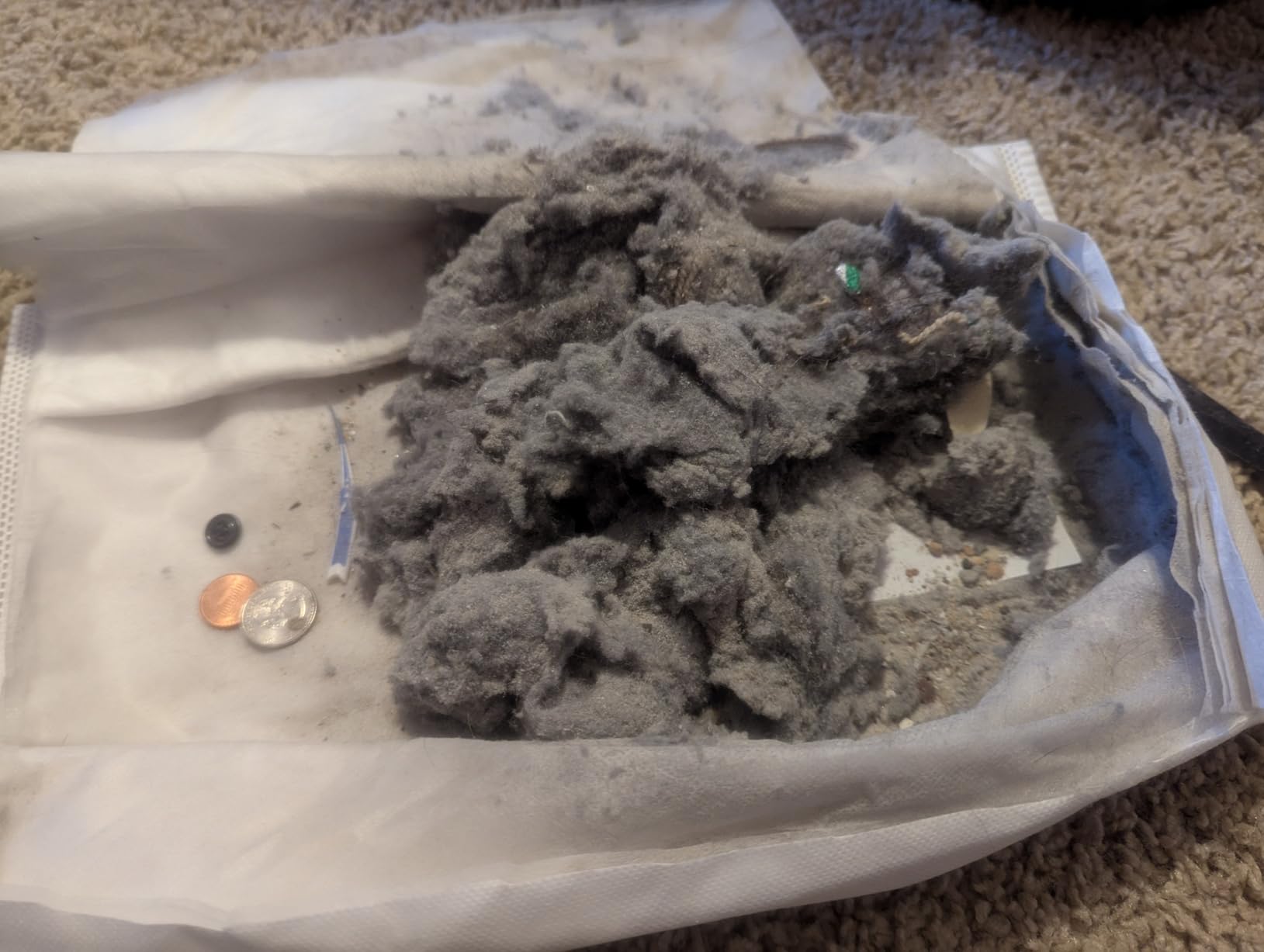 Kenmore 600 Series Pet Friendly Bagged Canister Vacuum 81615 customer photo 2