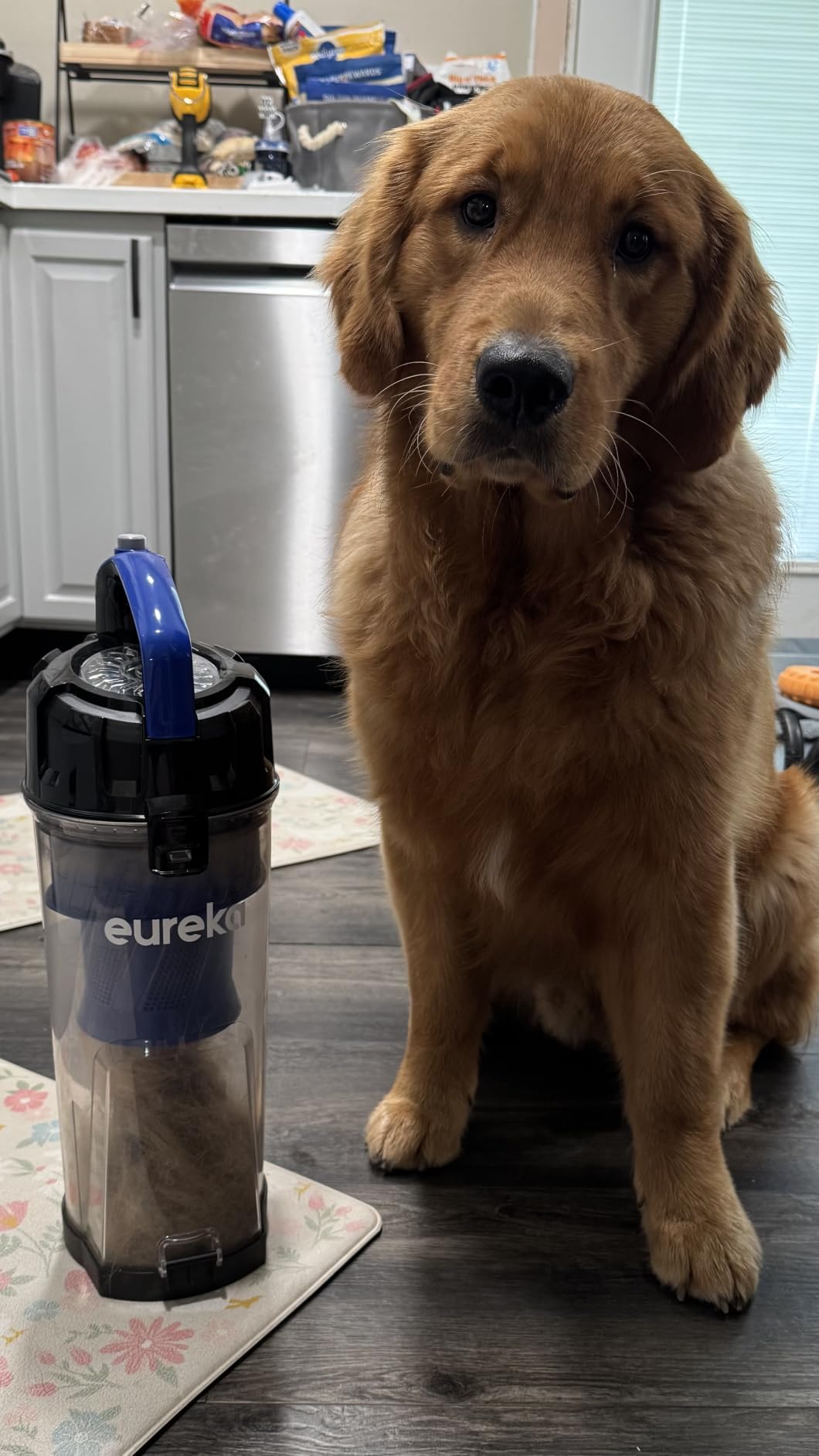 Eureka Lightweight Powerful Upright Vacuum Cleaner for Carpet and Hard Floor, PowerSpeed, New Model customer photo 2