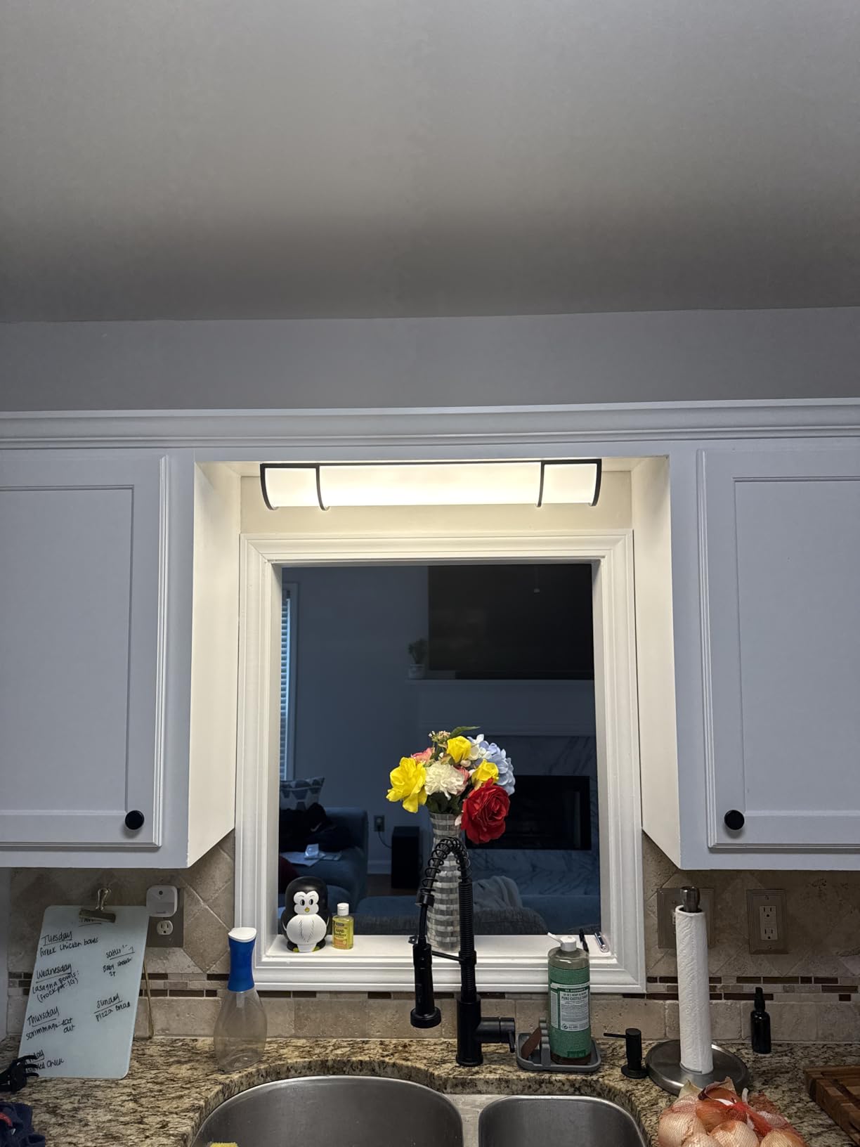 ASD LED 24