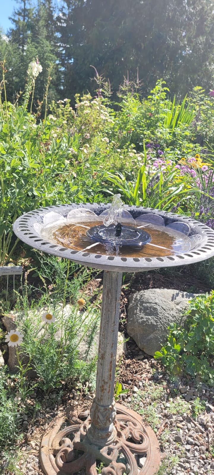 Mademax Upgraded Solar Fountain with 4 Easy Install Nozzle and Fixer, Solar Powered Fountain Pump for Bird Bath, Garden, Pond, Pool, Fish Tank, Outdoor customer photo 2