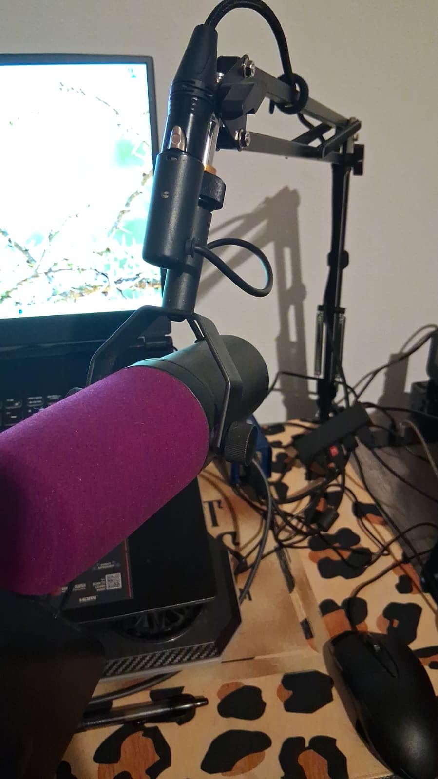 QuadCast Boom Arm, Mic Arm for Blue Yeti HyperX QuadCast SoloCast Fifine AM8 and Most Microphone, Mic Stand Desk by SUNMON customer photo 1