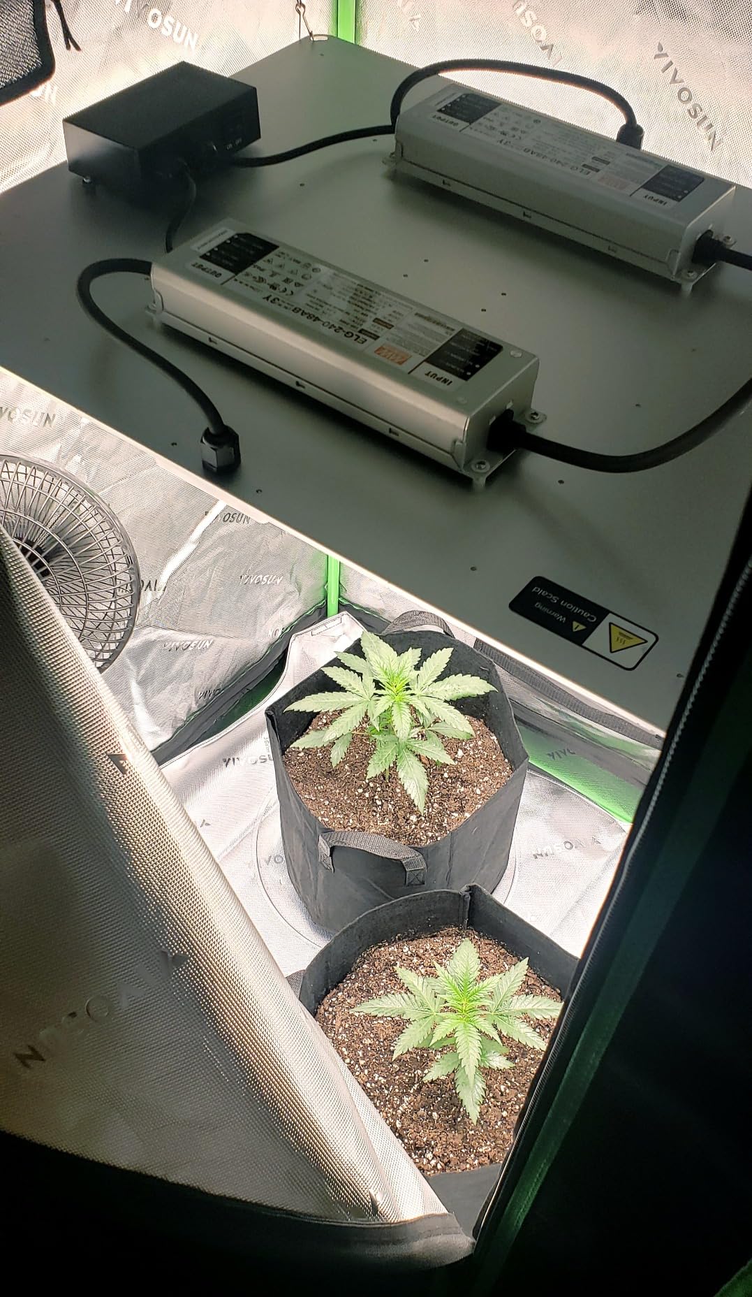 SF4000 LED Grow Light, Indoor Grow Lamp for Plants, Veg to Flower Bloom, Dimmable & Daisy Chain, 4x4 5x5 Grow Tent, Full Spectrum LM301B Diodes and Meanwell Driver customer photo 1