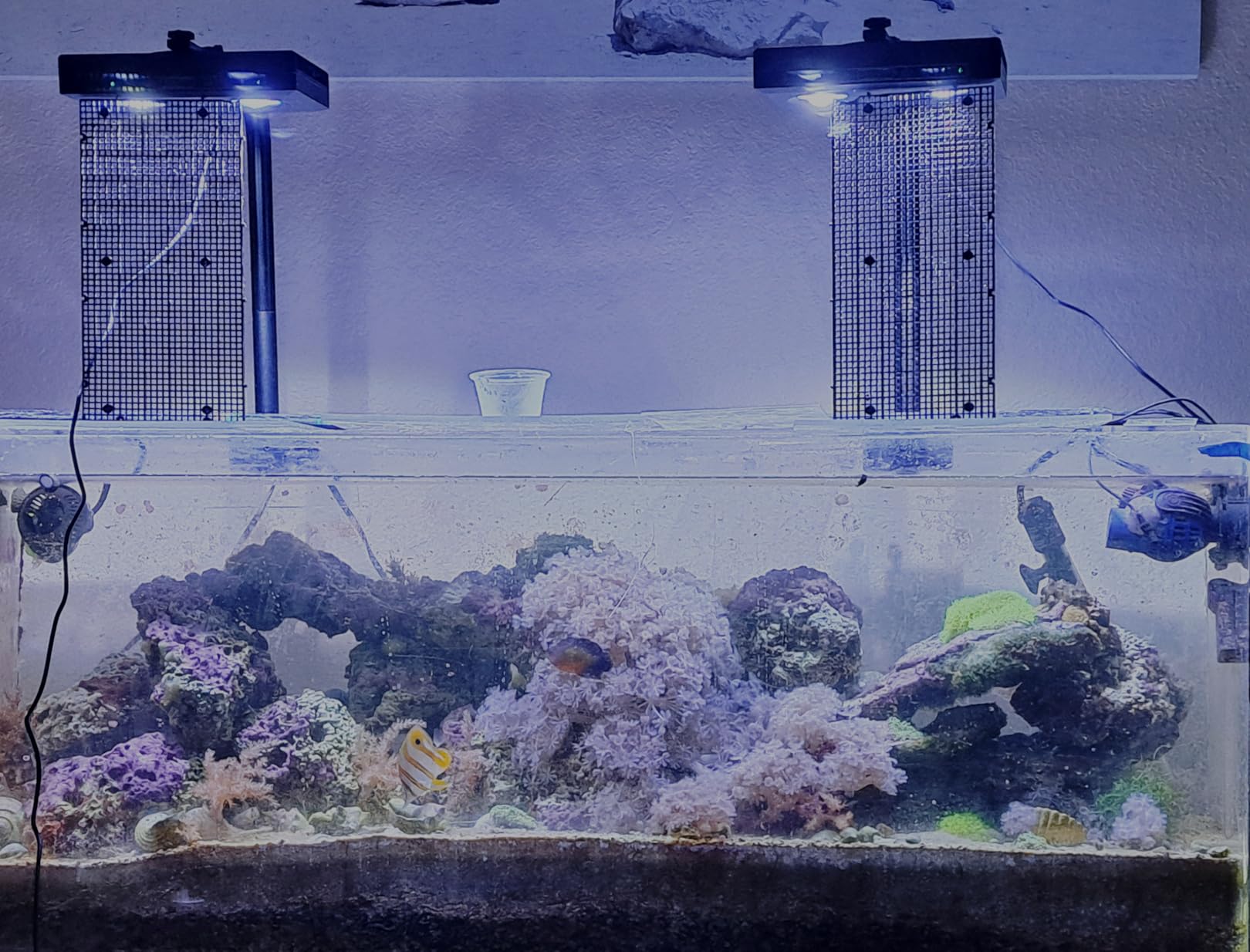 Aquarium Light - 95 Watt Sunrise Sunset Moonlight, Group Control Program Coral Reef Light Dimmable Full Spectrum for Marine Tanks customer photo 2