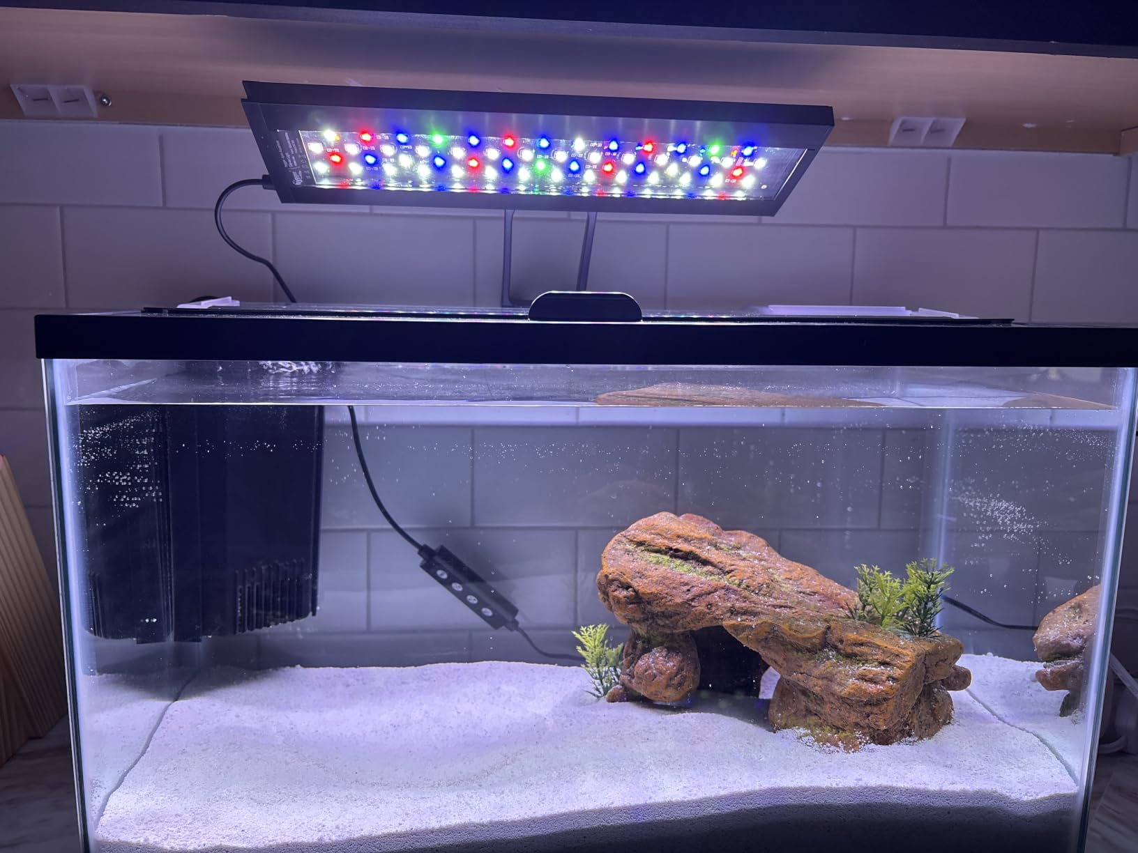 hygger Clip On 24/7 Lighting Aquarium LED Light, Sunrise-Daylight-Moonlight and DIY Mode, Adjustable Timer/Brightness for Planted Tank (14W for 12~20in Tank) customer photo 1