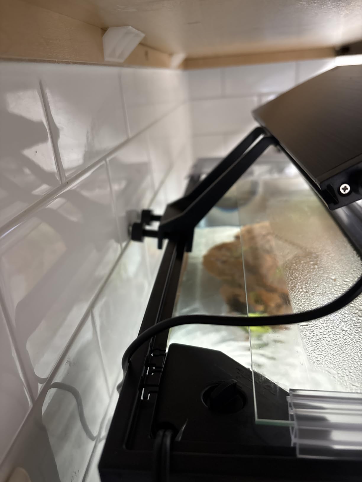 hygger Clip On 24/7 Lighting Aquarium LED Light, Sunrise-Daylight-Moonlight and DIY Mode, Adjustable Timer/Brightness for Planted Tank (14W for 12~20in Tank) customer photo 2