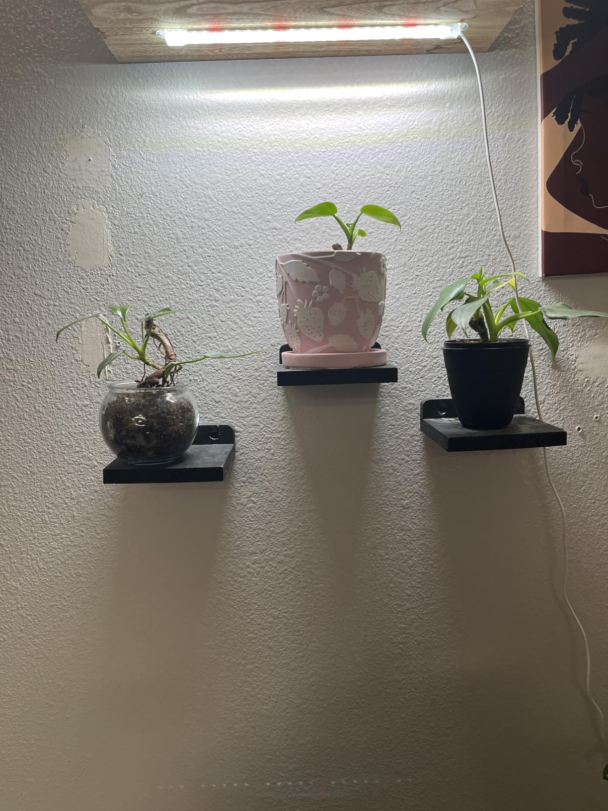 LED Grow Light Strip for Indoor Plants, Full Spectrum Sunlike Plant Lights Growing Lamps for Hydroponics Succulent Veg and Flowers customer photo 1