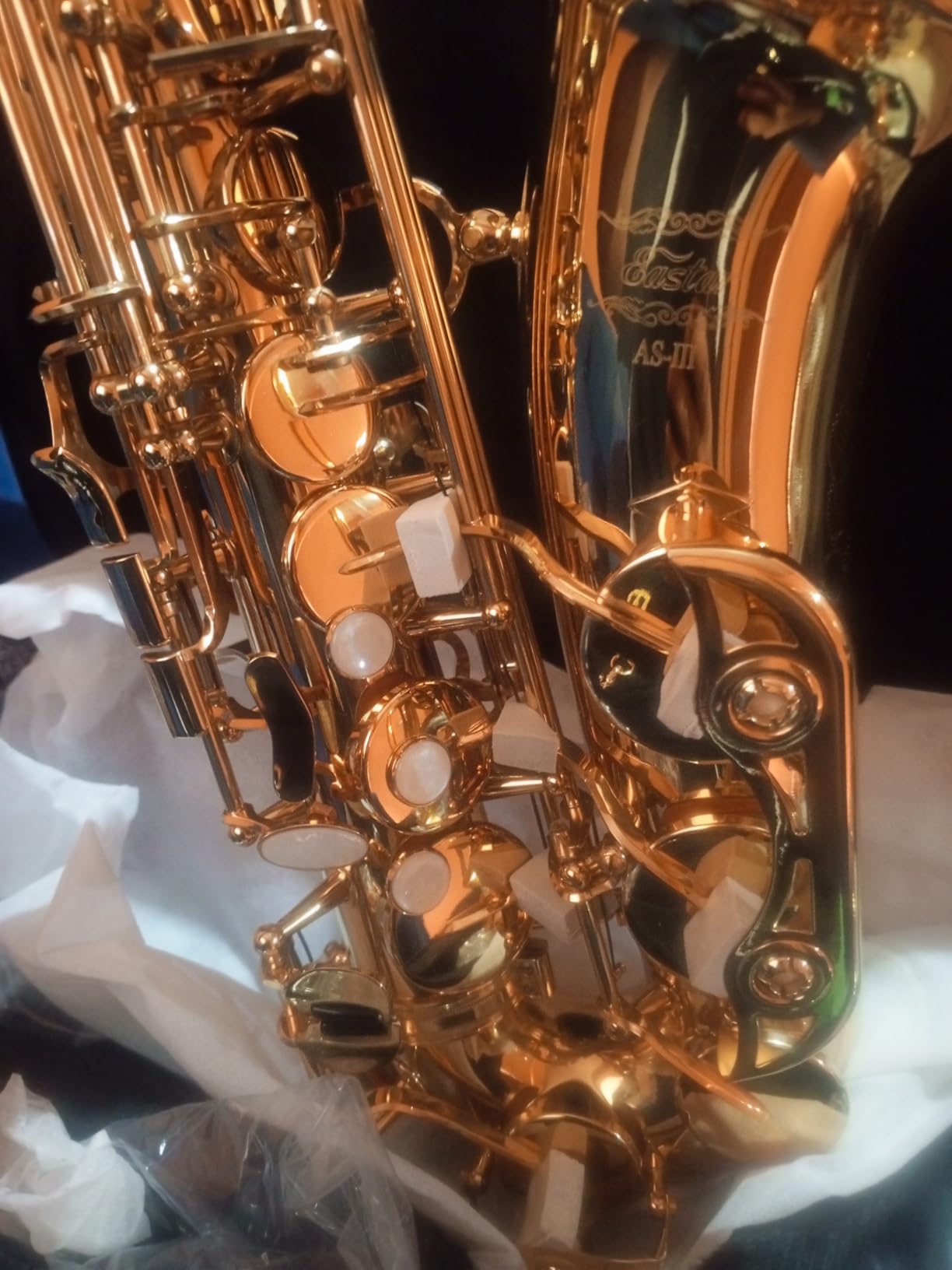 Eastar Alto Saxophone Eb Flat, Professional Intermediate Sax Golden, AS-III customer photo 2