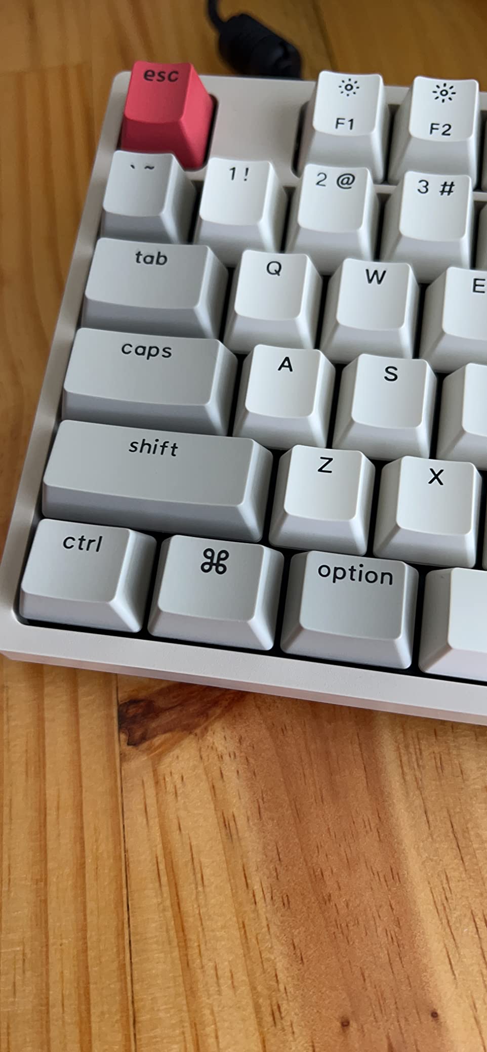 Keychron C2 Full Size Wired Mechanical Keyboard, Keychron Brown Switch, 104 Keys customer photo 2