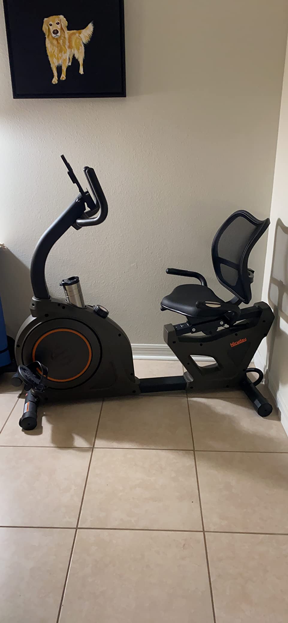 Niceday Recumbent Exercise Bike, Recumbent Bike for Home, Recumbent Stationary Bike 400LBS Weight Capacity, Magnetic Recumbent Bike with Smart APP, LCD Monitor, Heart Rate Handle customer photo 2