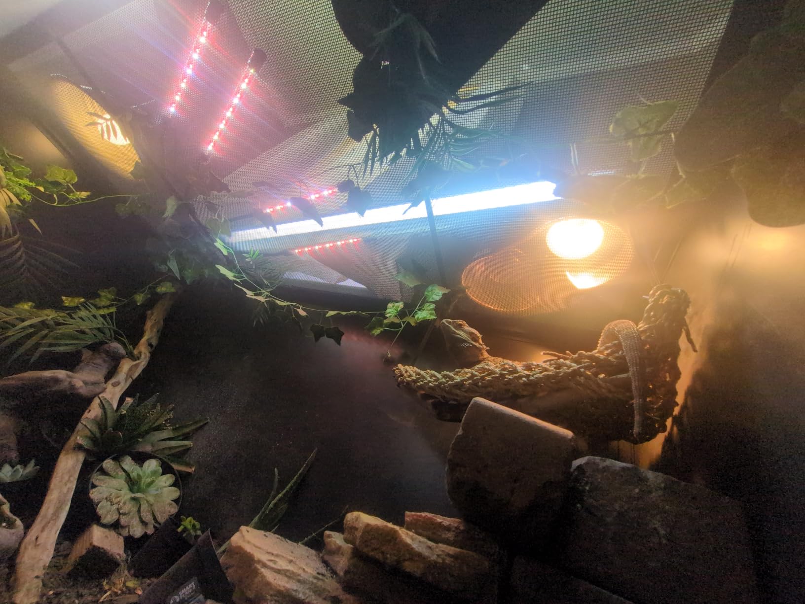 T5 UVB Reptile Light Fixture Kit 36