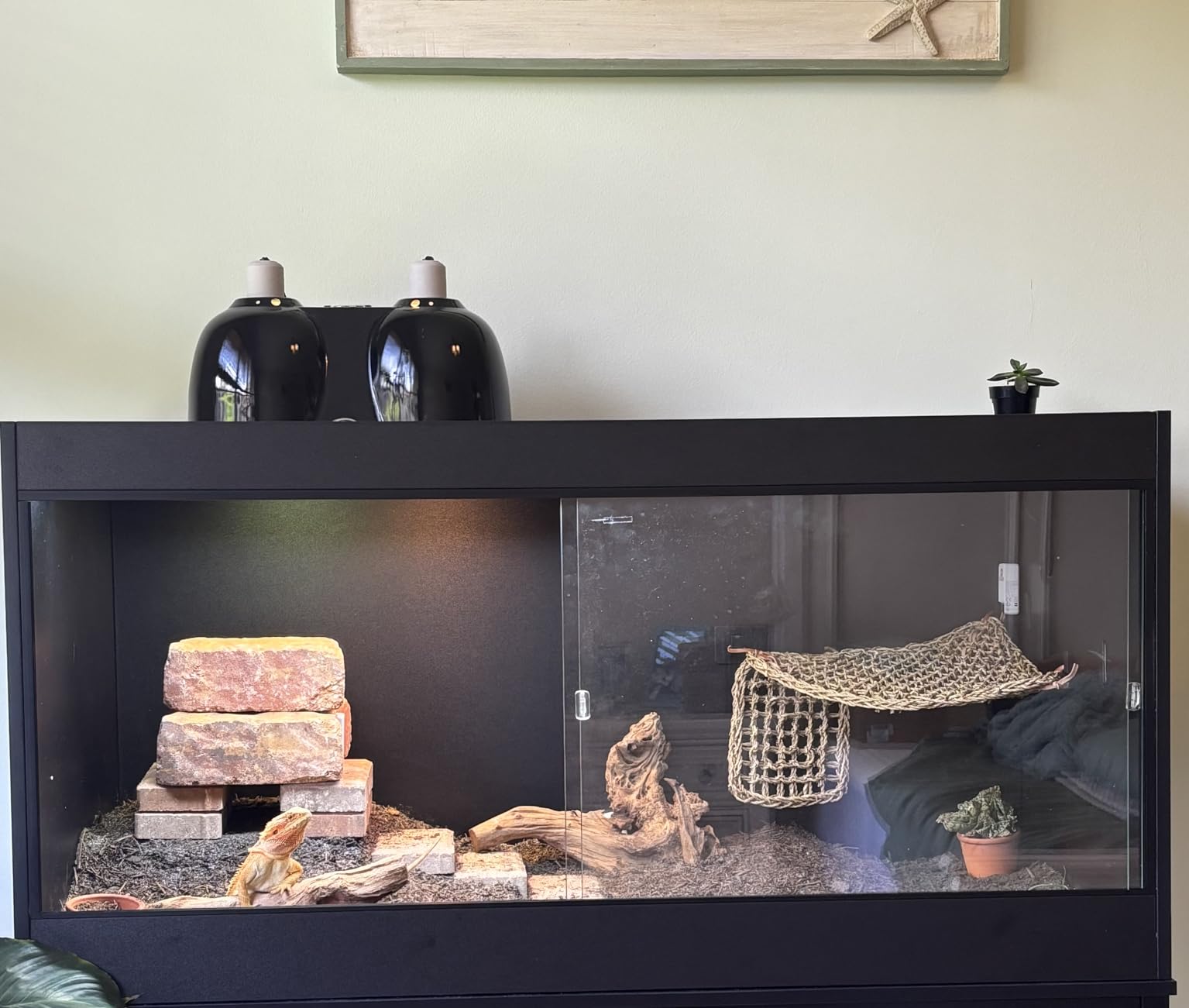 T5 UVB Reptile Light Fixture Kit 36