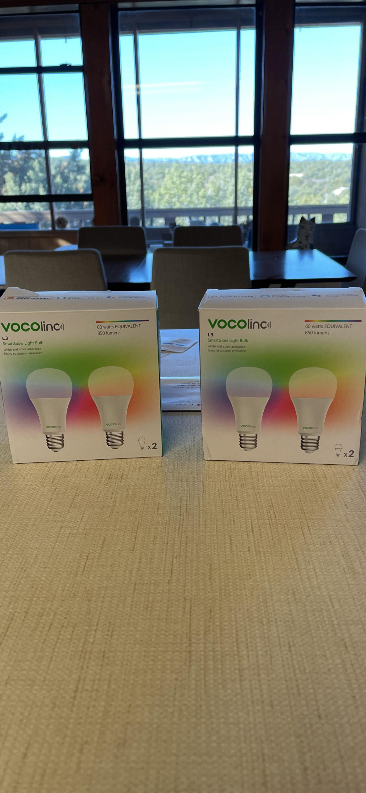 VOCOlinc Smart Light Bulb Works with Apple Homekit, Alexa, Google Home, Dimmable WiFi Smart Bulbs, 850 Lumens, E26 LED Smart Bulb 60 Watt Equivalent, A21, 2200K-7000K RGBW, 9.5W, 1 Pack customer photo 2