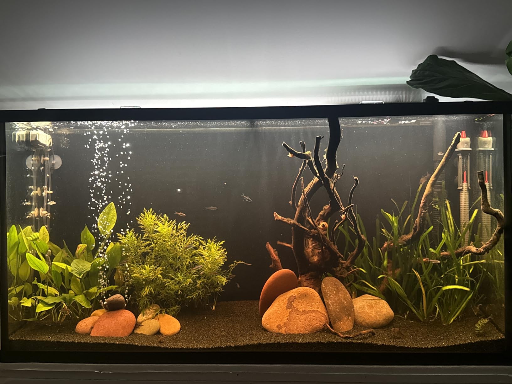 NICREW ClassicLED Plus LED Aquarium Light with Timer, Planted Fish Tank Light 18 Watts for 24-30 Inch, Daylight and Moonlight Cycle customer photo 1