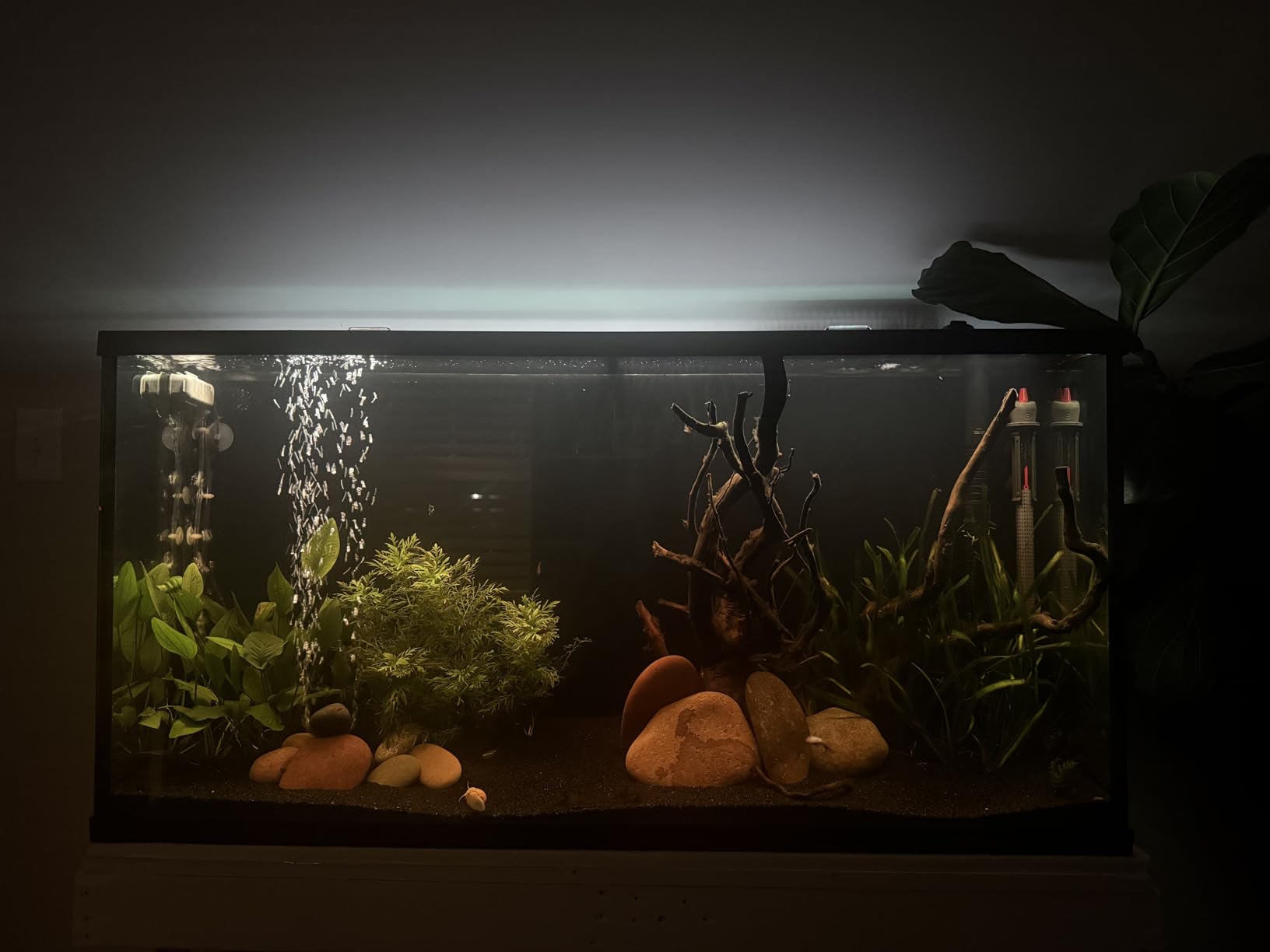 NICREW ClassicLED Plus LED Aquarium Light with Timer, Planted Fish Tank Light 18 Watts for 24-30 Inch, Daylight and Moonlight Cycle customer photo 2