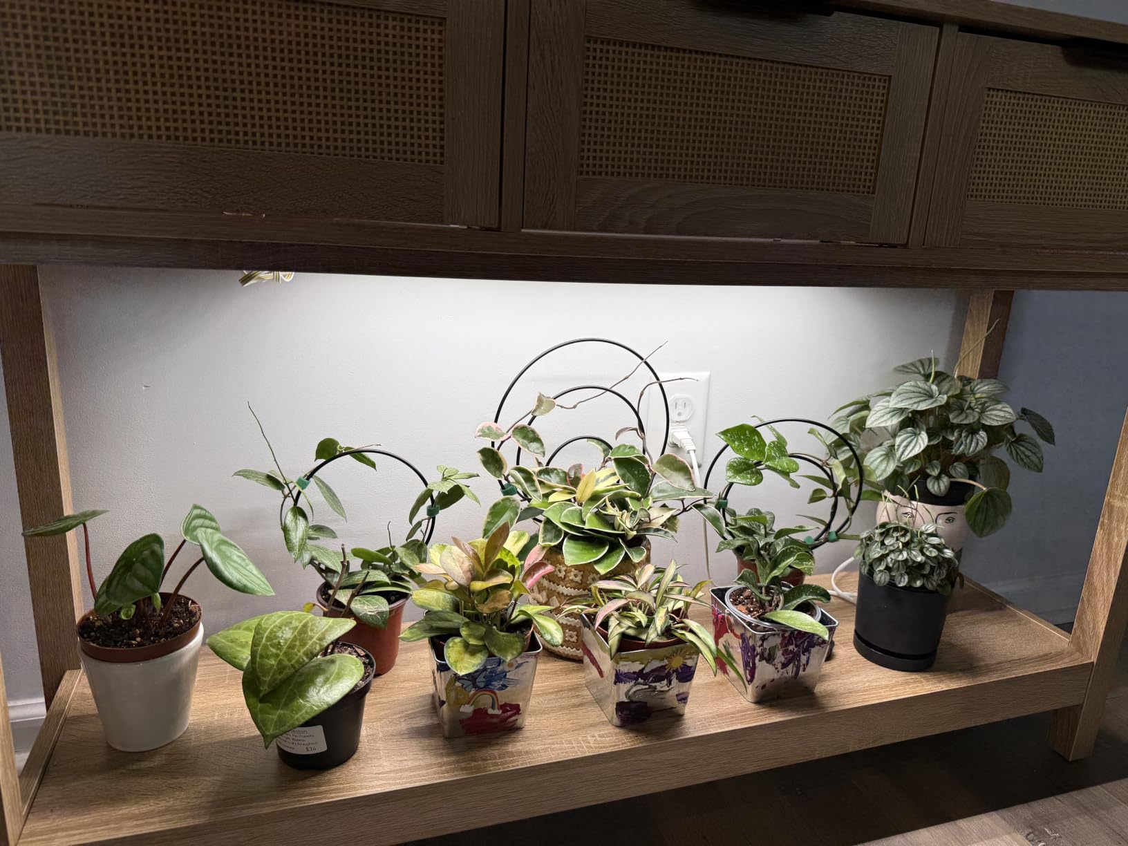 Barrina T5 Grow Lights for Indoor Plants, 5000K Full Spectrum, 1FT LED Growing Lamp, Plant Light Strip, for Seed Starting, Vegetables, Plug and Play, 4-Pack customer photo 1
