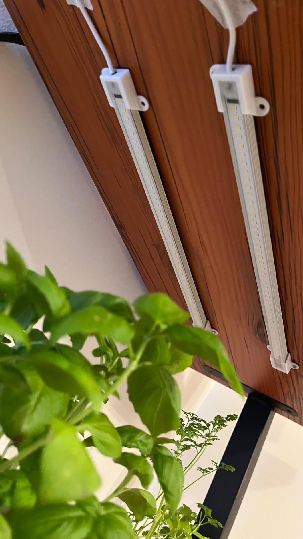 Mosthink Grow Strip Lights for Indoor Plants Under Shelf Cabinet | Full Spectrum with Timer, Red Blue White LEDs Plant Lights, 3 Lighting Modes, 5 Dimmable Levels, 2 Packs customer photo 1