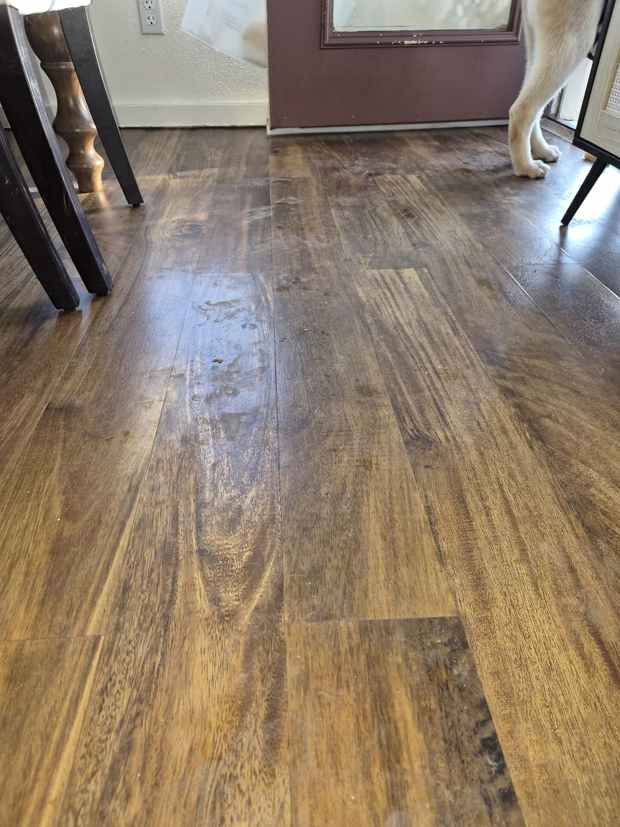 BISSELL CrossWave HydroSteam 3-in-1 Wet Dry Vacuum Mop, 35151 customer photo 1