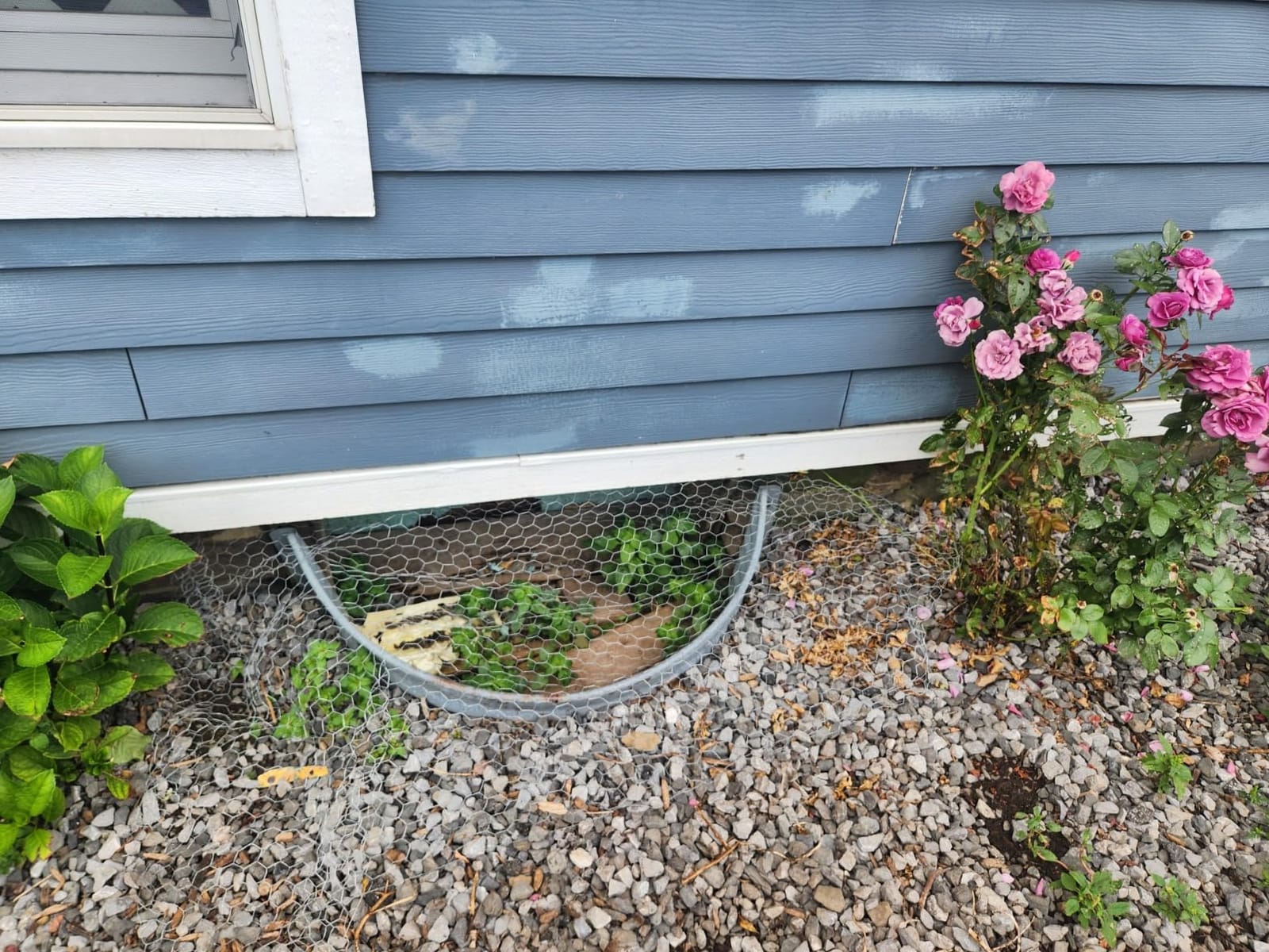 Just Cover It Basement Window Well Covers Outside Protection 40