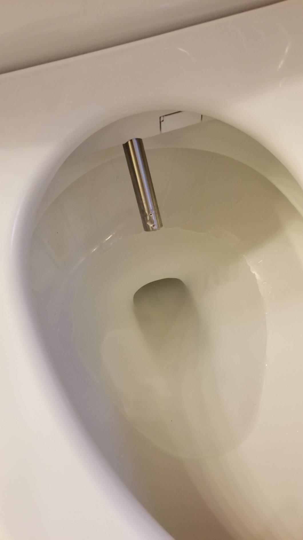 Kohler PureWash E580 Elongated Bidet Toilet Seat, White, Quiet-Close Lid Prevents Slamming, Self-Cleaning Wand, Adjustable Water Pressure with Multiple Cleansing Options customer photo 1