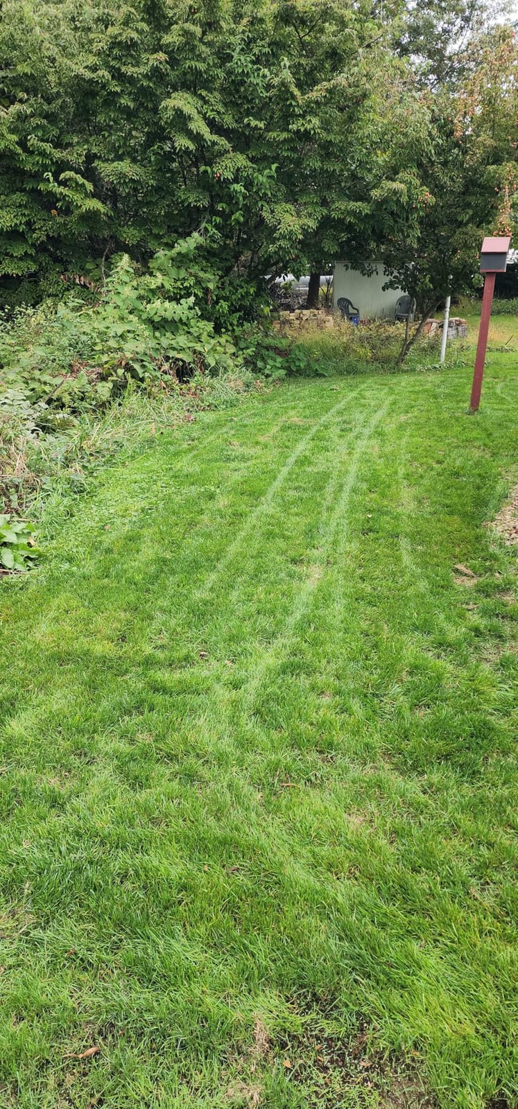Greenworks 60V 21 in Push Lawn Mower, 5.0 Ah Battery and Charger customer photo 2