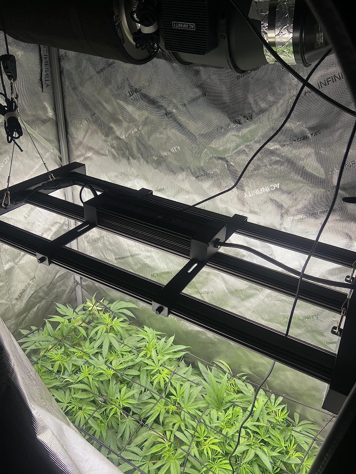 AC Infinity IONFRAME EVO3, Samsung LM301H EVO Bar LED Grow Light 2x4, 840 Diodes, with Schedule Controller, 280W Full-Spectrum Commercial Plant Lights for Indoor Growing in Grow Rooms & Greenhouses customer photo 1