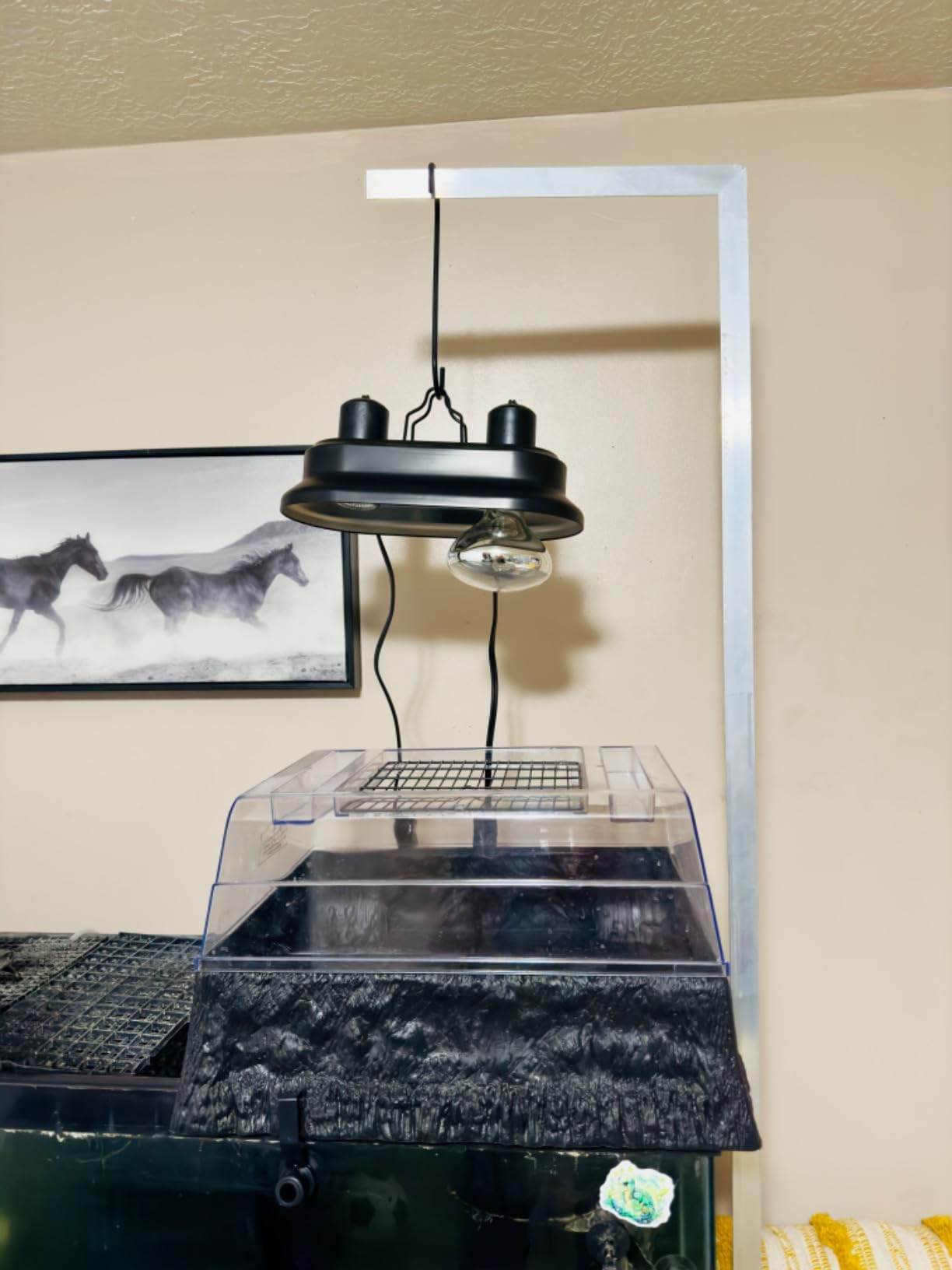 Aiicioo Dual Reptile Light Fixture - Bearded Dragon Light Fixture Double Reptile Heat Lamp Dome Max 160 Watt Terrarium UVB Reptile Light for Turtle Tank Vivarium Hermit Crab customer photo 1