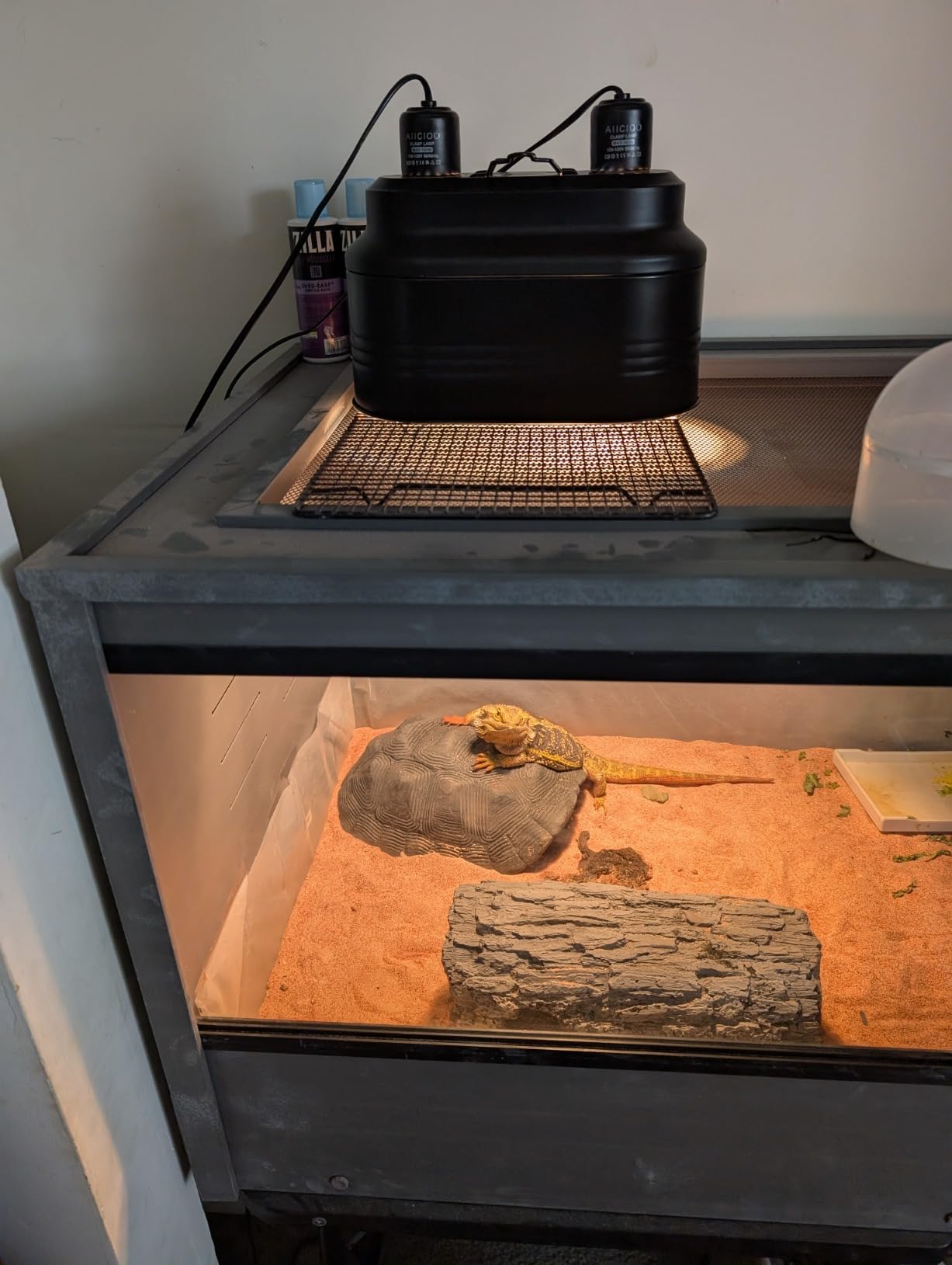 Aiicioo Dual Reptile Light Fixture - Bearded Dragon Light Fixture Double Reptile Heat Lamp Dome Max 160 Watt Terrarium UVB Reptile Light for Turtle Tank Vivarium Hermit Crab customer photo 2