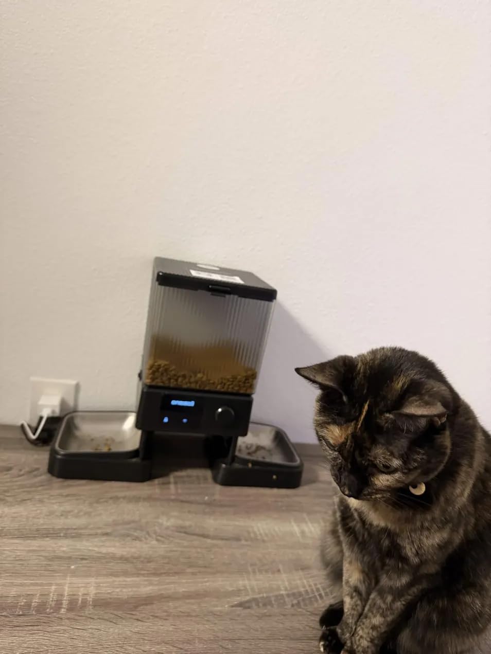 oneisall 5G WiFi Automatic Cat Feeder for 2 Cats, App Control, 20 Cups/5L | Timed Meals, Feed Now, Feeding Logs, Slow Feed, Precise Portions, 10s Voice Recorder, Family Sharing, Stainless Steel Bowls customer photo 1