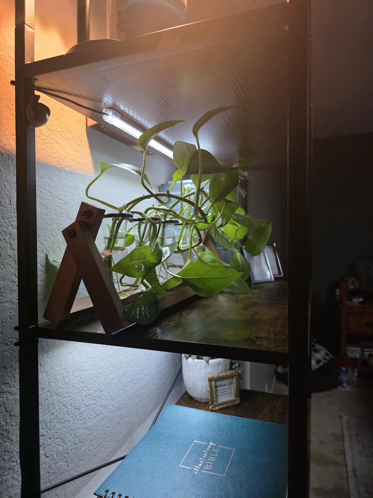 Kullsinss 16in Grow Light Strips, 4-Bar 240 LEDs Full Spectrum Plant Light | Under Cabinet Growing Lamp for Indoor Plants with 6/12/16H Auto Timer, 5 Dimmable Levels, 15W Sunlike Plant Lamp for Seedling customer photo 2