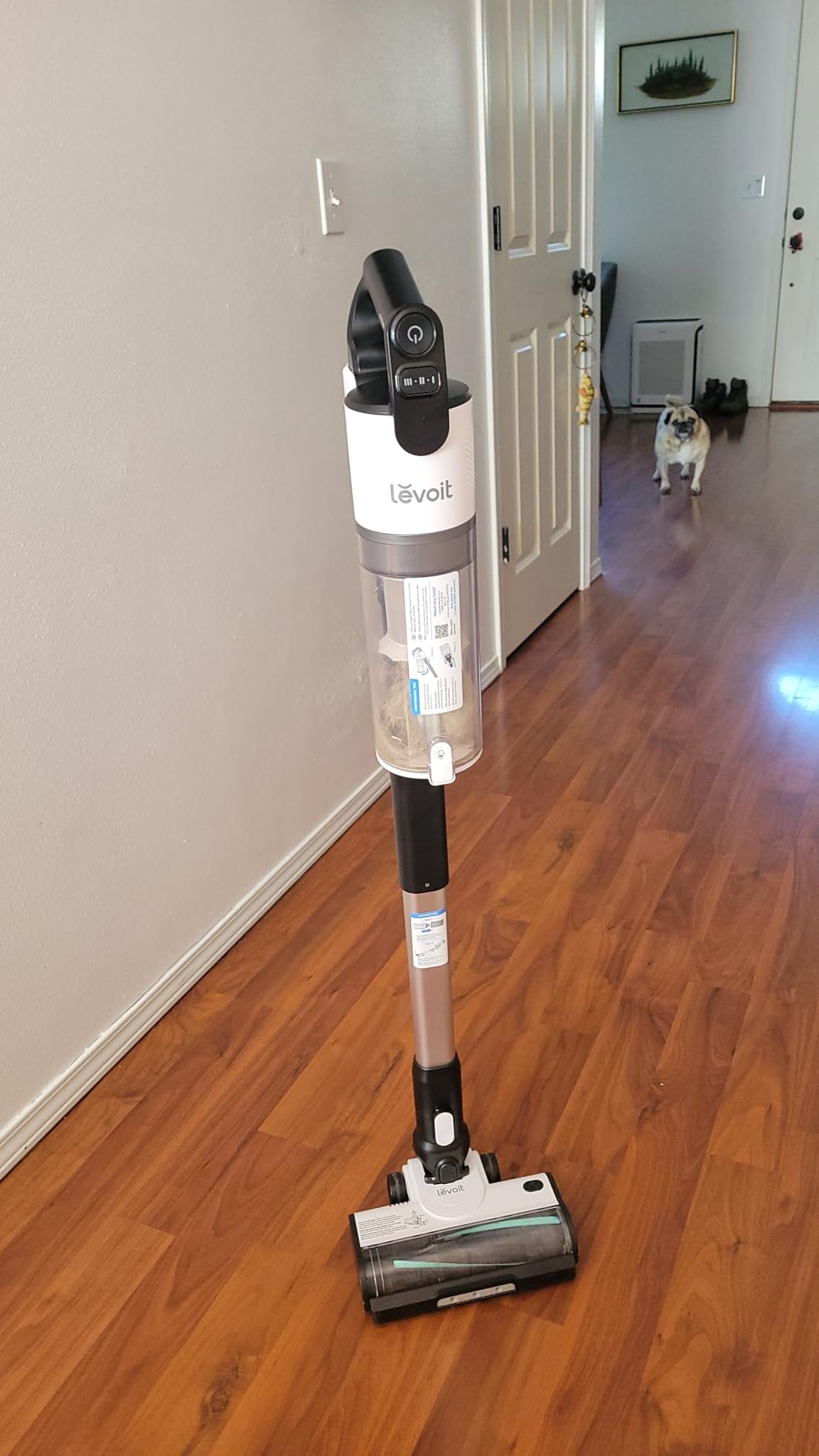 Levoit Cordless Vacuum Cleaner, Anti-Tangle for Pet Hair, Up to 50 Minutes customer photo 2