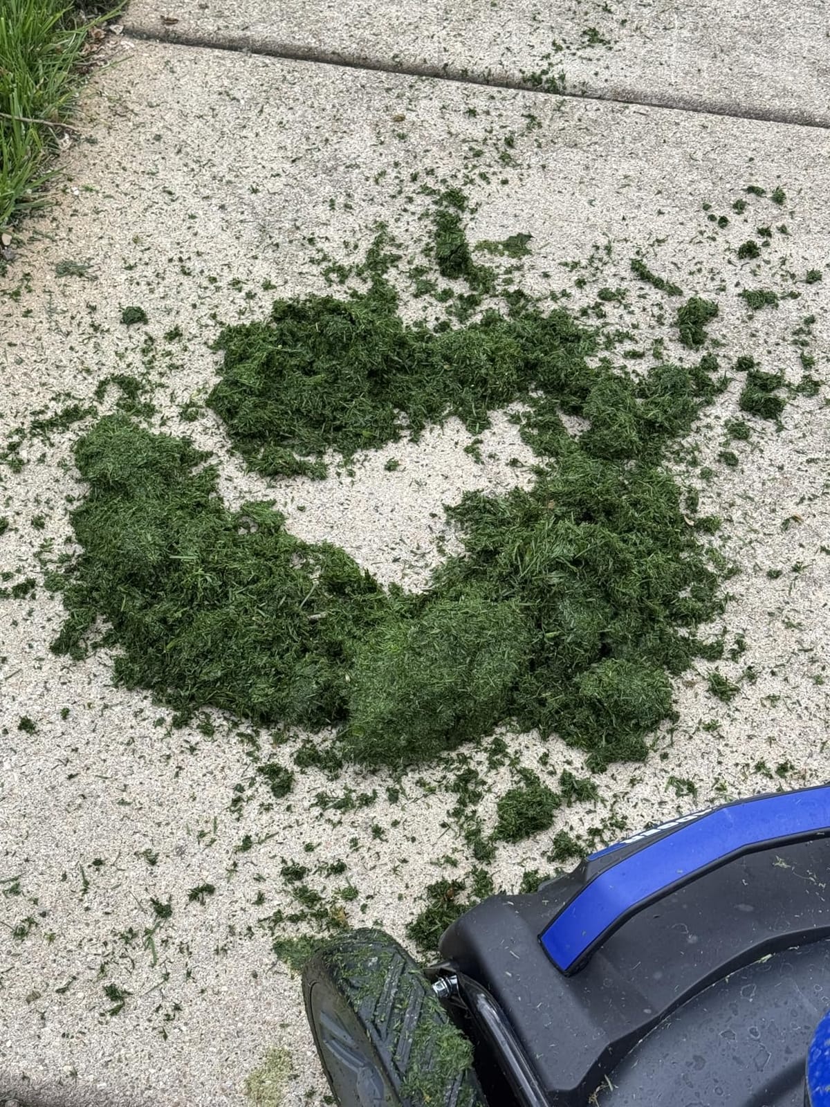 Wild Badger Power 40V 18-In Brushless Cordless Electric Lawn Mower | 18-in brushless push mower for small-to-medium lawns; 5 cut heights, 3-in-1 clipping modes, 40V 4.0Ah battery and charger. customer photo 2