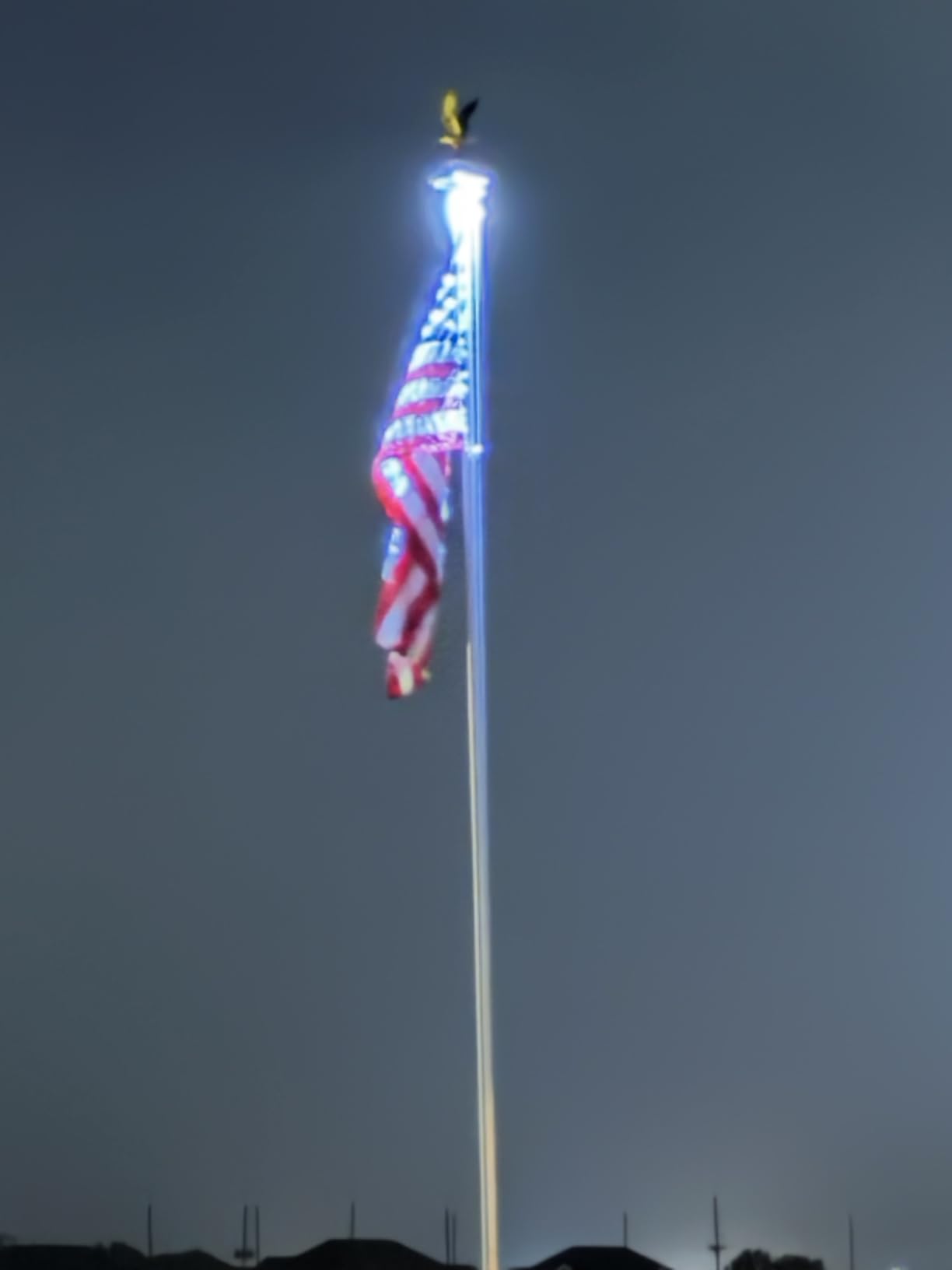 Ultra Bright Solar Powered Flag Pole Light | 100% Coverage with 48 LEDs | 14-Hour Dusk to Dawn | Waterproof | Obey The U.S. Flag Code | Auto ON/Off System | Easy to Install customer photo 2