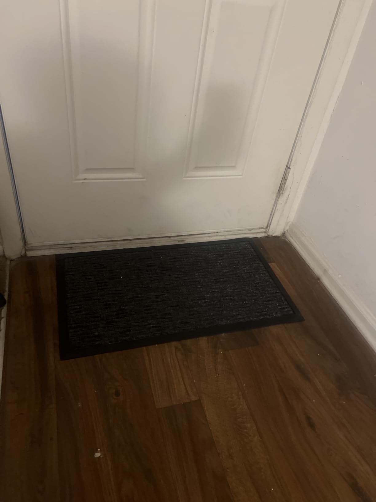 Mibao Front Door Mat Outdoor Entrance, 29.5
