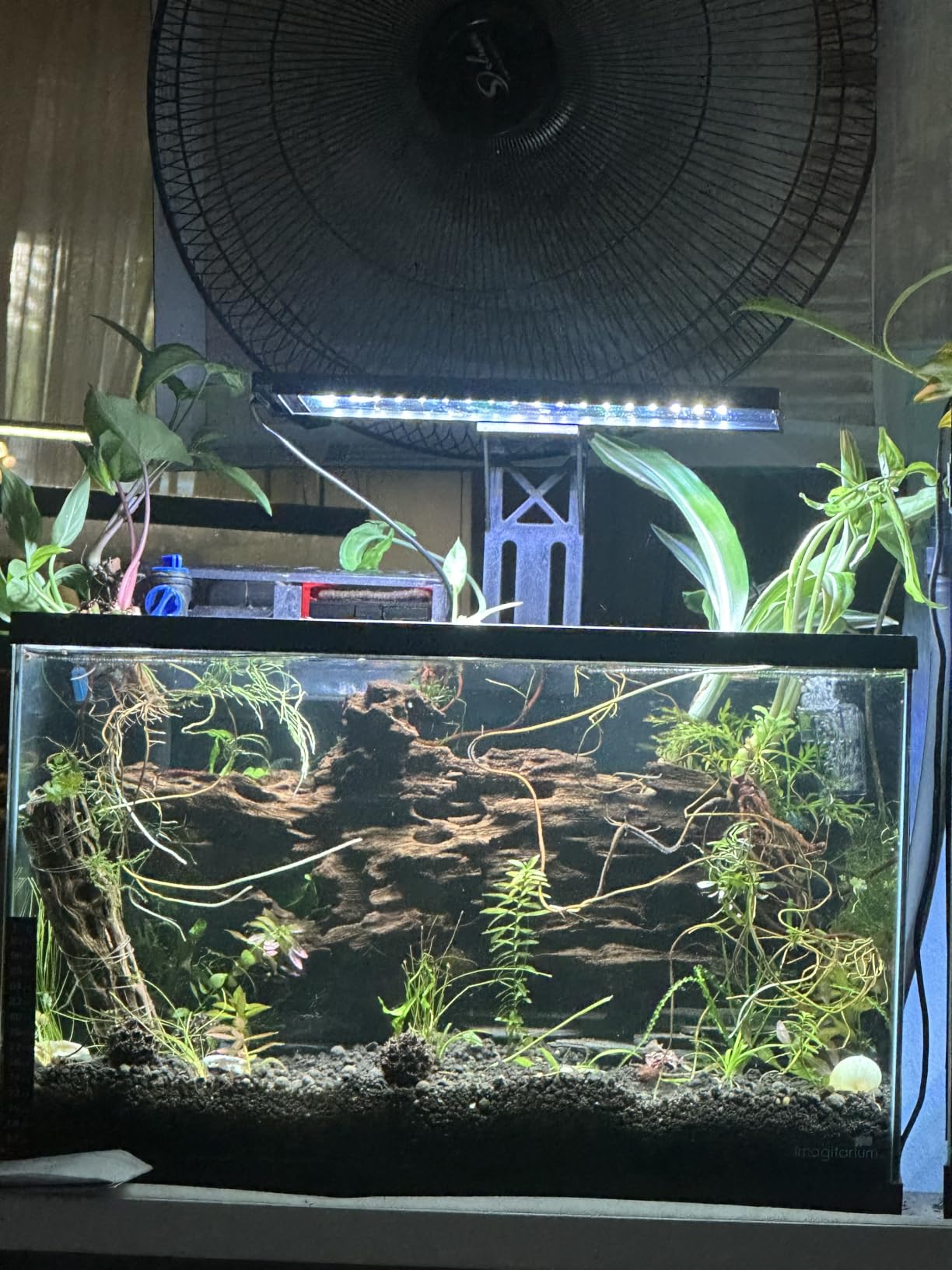 SEAOURA Clip On Aquarium Light for Plants-24/7 Fish Tank Light, 12-20 Inch | Led Aquarium Plant Light with Timer, Full Spectrum+7 Colors Mode, Auto On/Off, Adjustable Brightness and Height, 20W customer photo 2