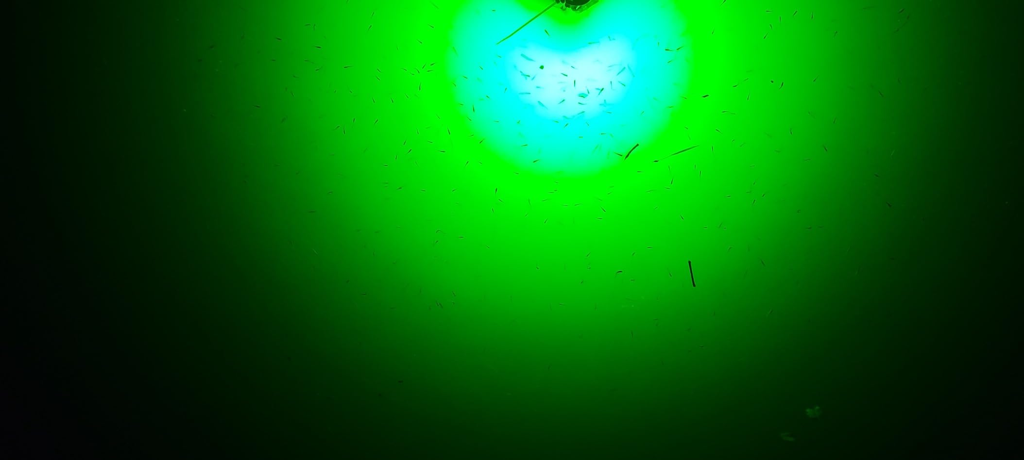 Ultra-Bright Underwater Fishing Light, 110V & 12V Green LED Submersible Light Attractants for Docks, Boats or Kayaks, IP68 Rated for Fresh & Salt Water (30ft Cable) customer photo 2