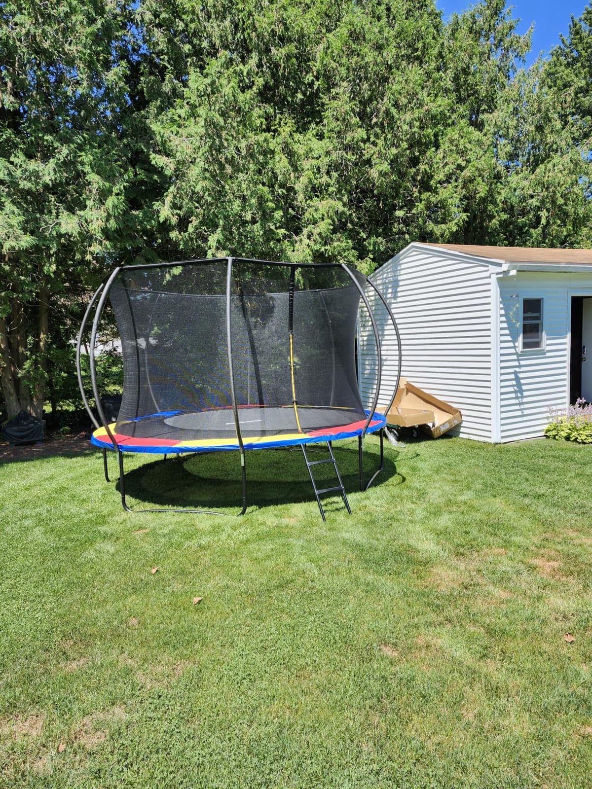 JoyBerri Trampoline Outdoor - Upsurge ASTM Certified Safe 8Ft 10Ft 12Ft 14Ft 15Ft 16Ft Recreational Trampoline for Kids and Adults. Anti-Rust Coating with Enclosure Net, Ladder, Sprinkler & LED Lights customer photo 1