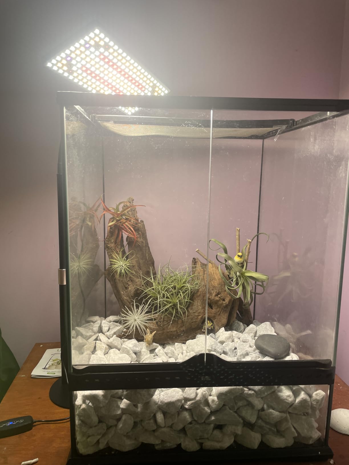 Desk Grow Light, 214 LEDs Full Spectrum Plant Light for Indoor Plants, 4/8/12H Timer, 10-26in Height Adjustable, 6 Brightness Levels customer photo 1