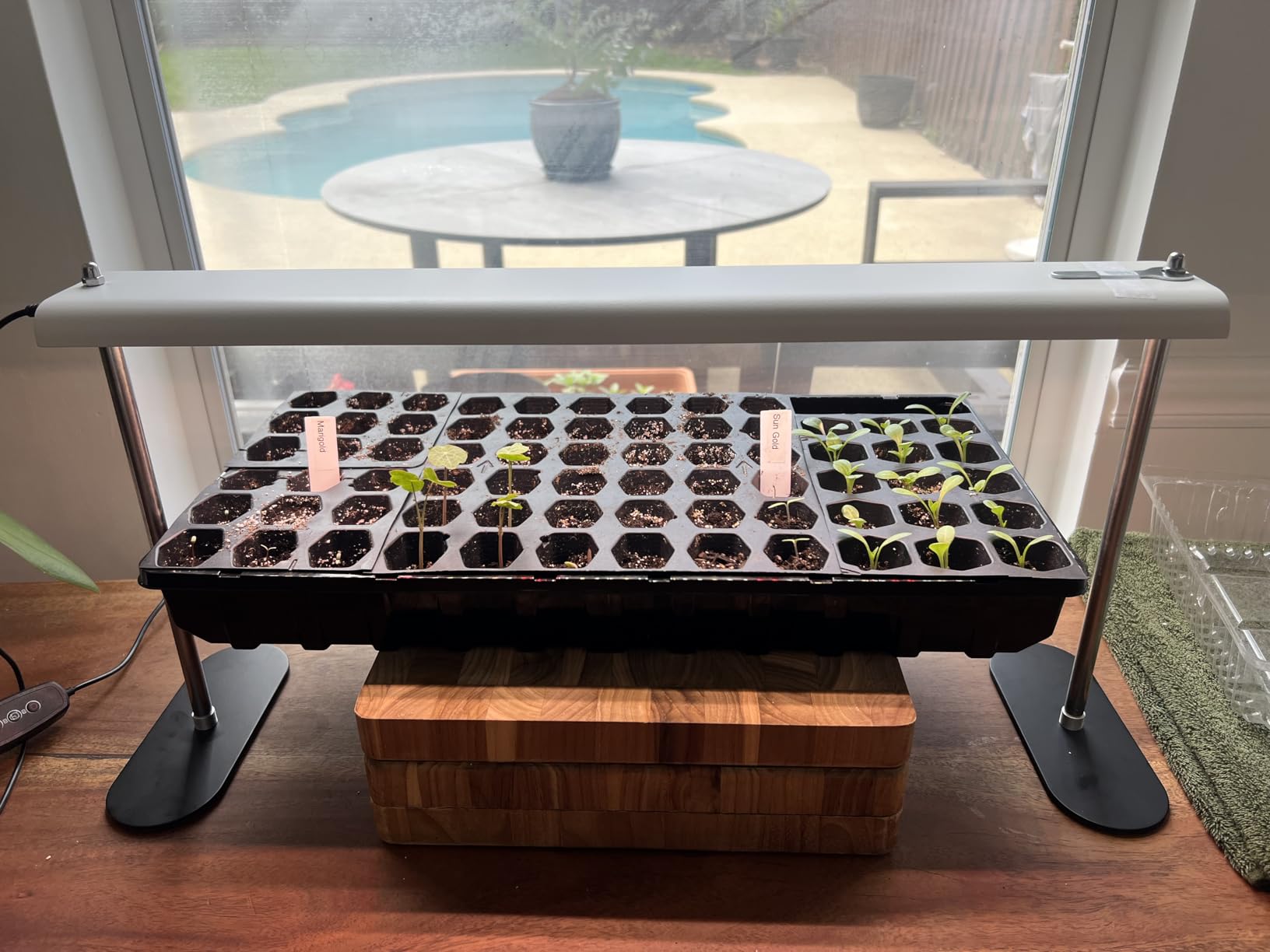 FOXGARDEN Grow Light Stand, Advanced LED Plant Growth Lighting with 4/8/12H Timer, 6 Dimming Options, and Adjustable Height - Optimal for Indoor Plants in Seedlings, Vegetative, and Flowering Phases customer photo 1