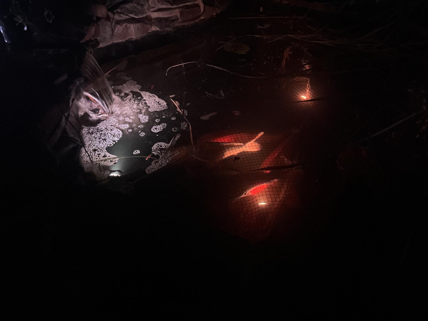 T-SUN Colored Pond Lights LED Underwater with APP Remote Control 10 Pack | Timer,Dimmable,IP68 Waterproof Underwater Pond Lights Submersible Fountain Lights for Outdoor Ponds Koi Aquarium Garden Pool customer photo 2