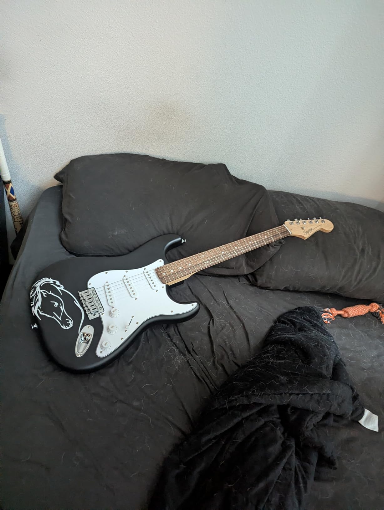 Fender Squier Debut Series Stratocaster Electric Guitar, Beginner Guitar, with 2-Year Warranty, Includes Free Lessons, Black with Matte Finish | Starter electric guitar for kids and adults, free lessons, 2-year warranty, iconic Strat shape, under $200 customer photo 2